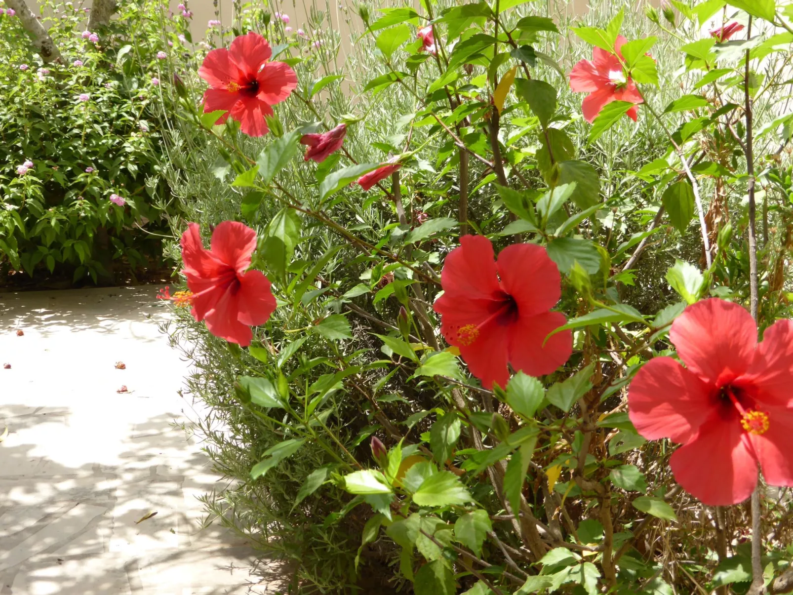Schöner, neuer und zentraler Bungalow direkt am Sandstrand auf Sizilien-Buiten