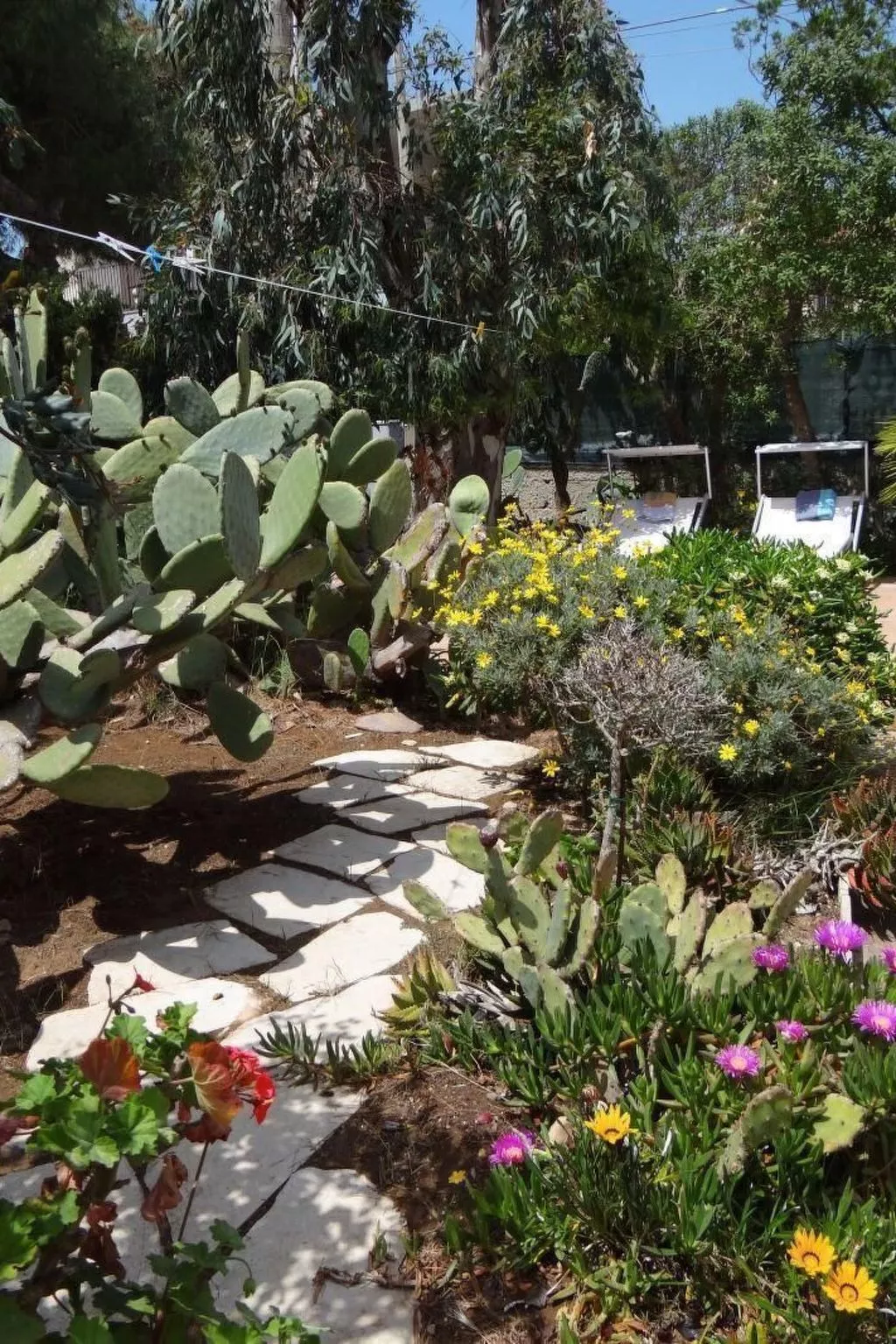 Kleines ruhiges Ferienhaus direkt am Meer-Buiten