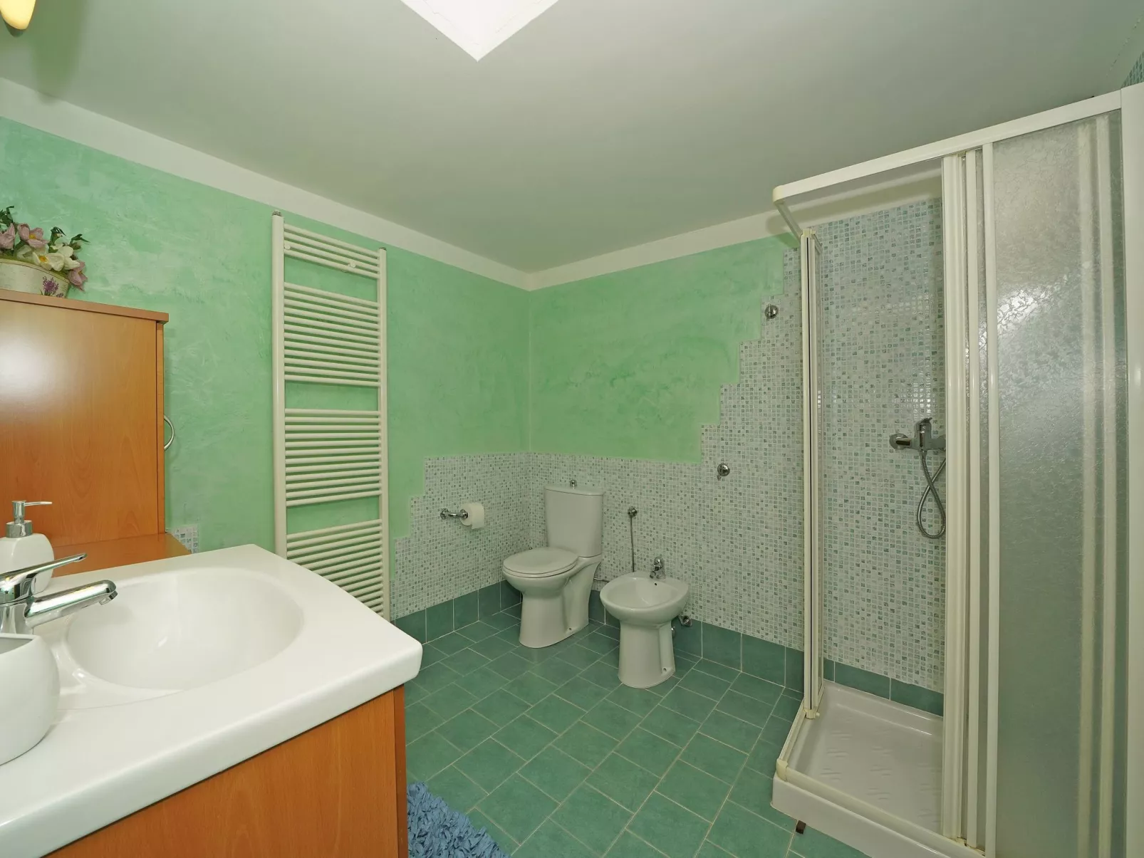 Wohnung mit Blick auf den Gardasee-Binnen