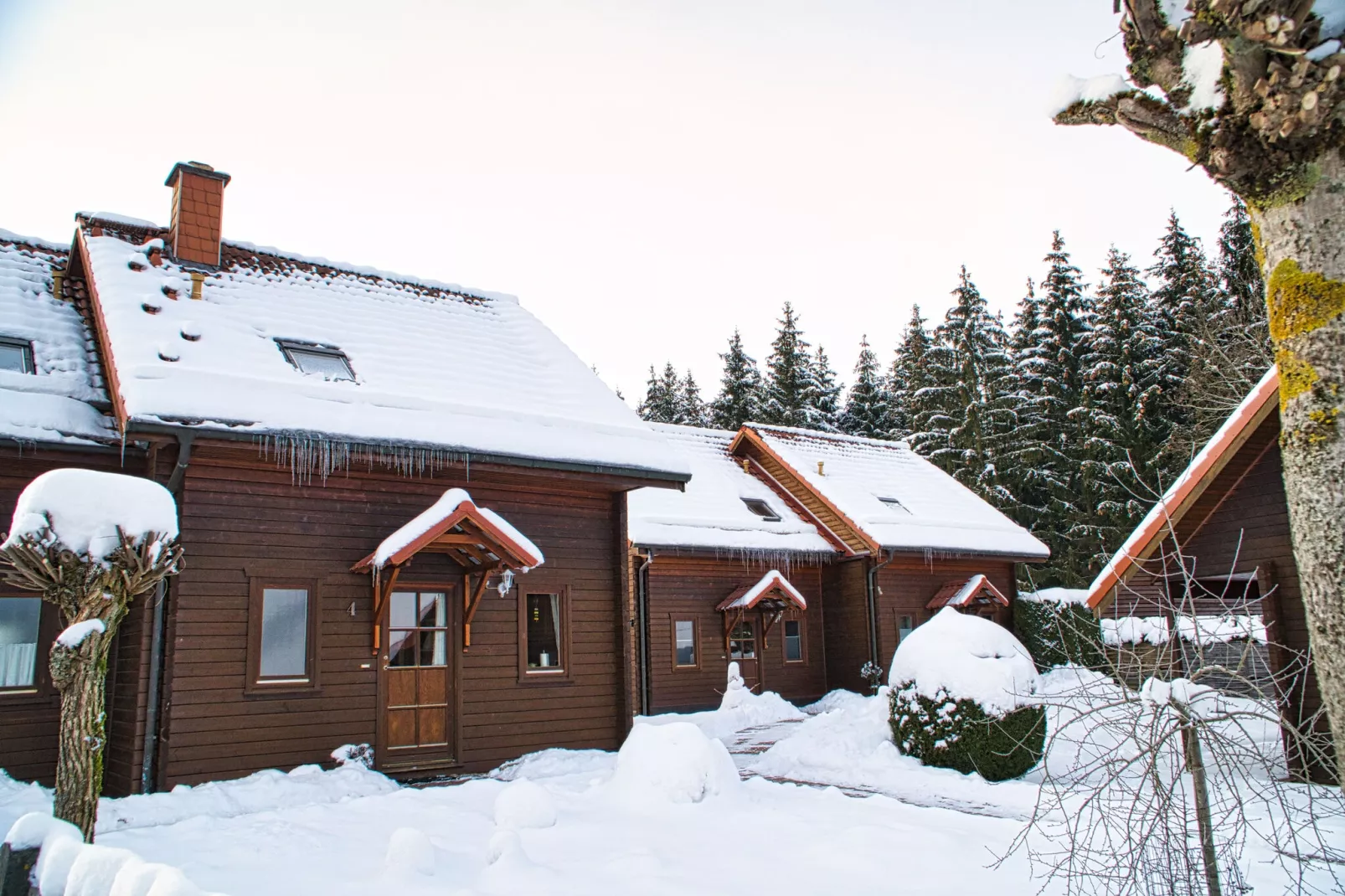 Ferienhaus in Hasselfelde - Haus 5 Blauvogel-Exterieur winter