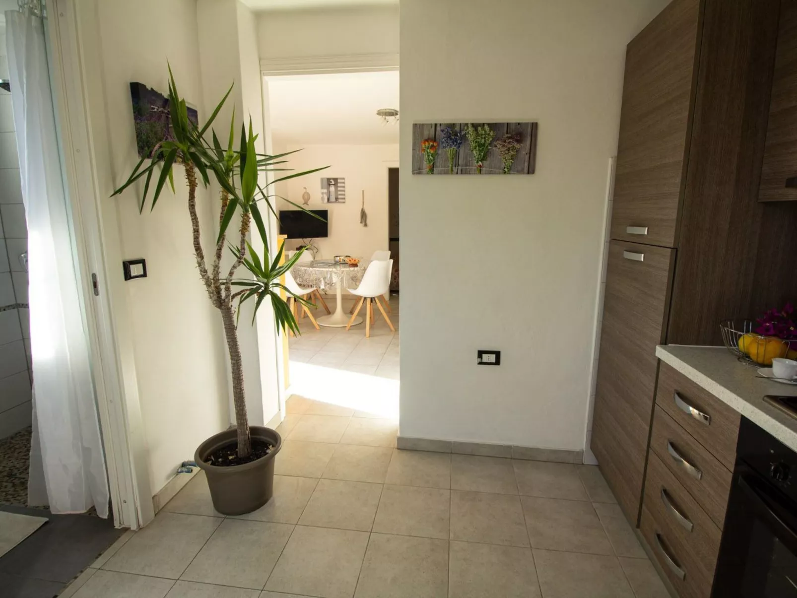 Komfortable Ferienwohnung in Cervo mit Garten-Image-tags.info