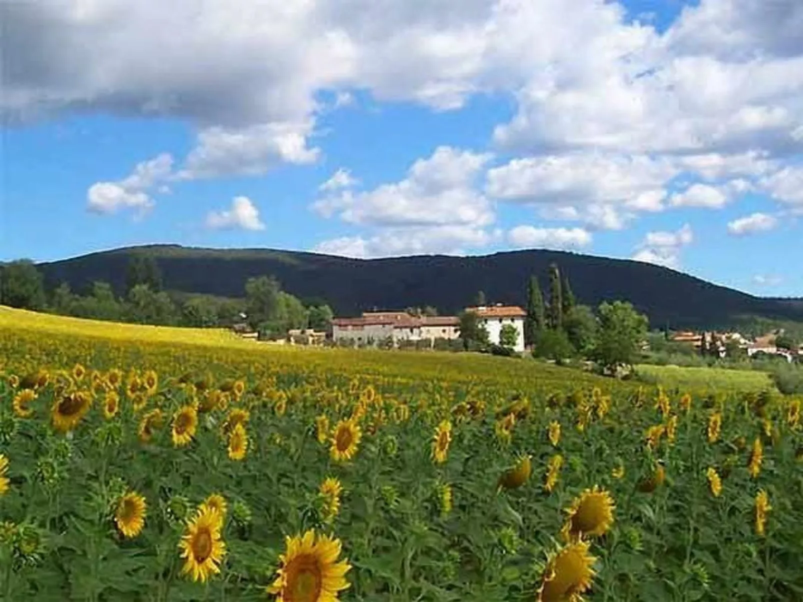 Großes Appartement-Buiten