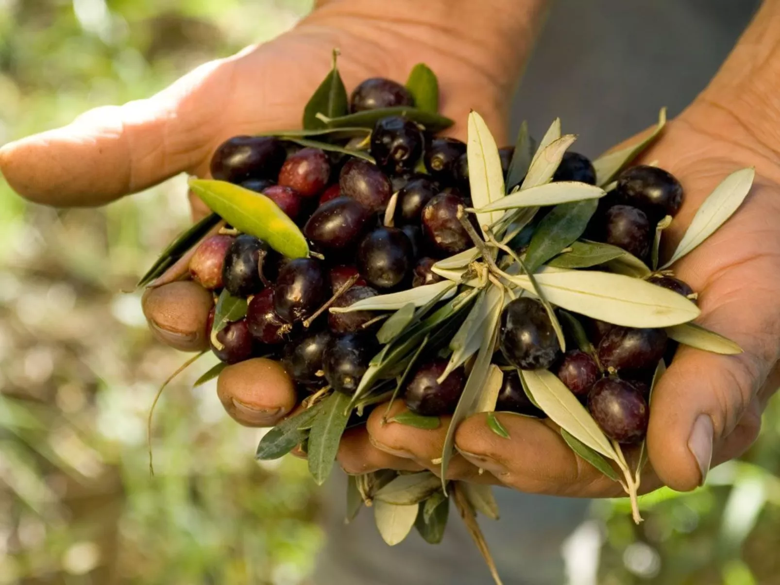 Anwesen mit Schwimmbad-Image-tags.info