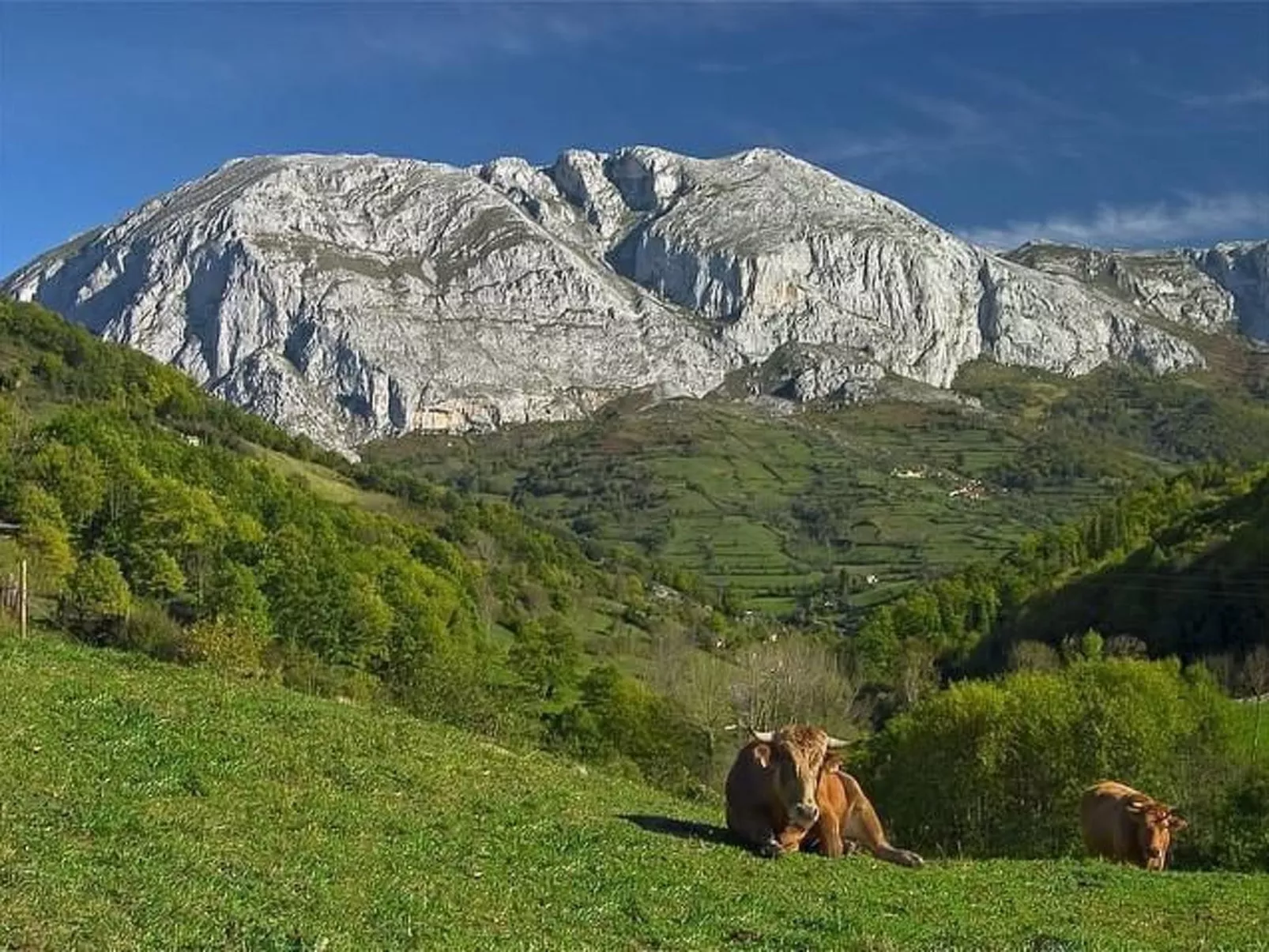 Jacuzzi, Kamin, Grill und spektakuläre Aussicht-Image-tags.info