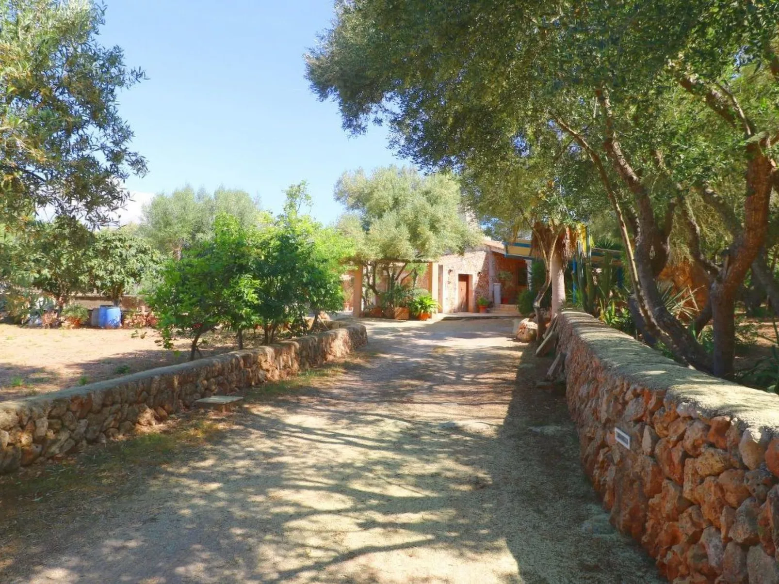 Finca Alfabia Campos-Image-tags.info