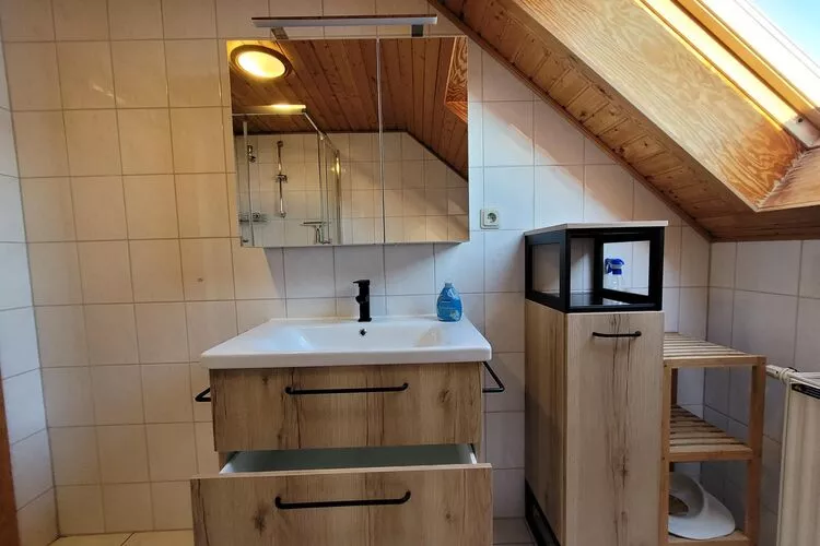 Ferienhaus in Hasselfelde - Haus 10 Blauvogel-Badkamer