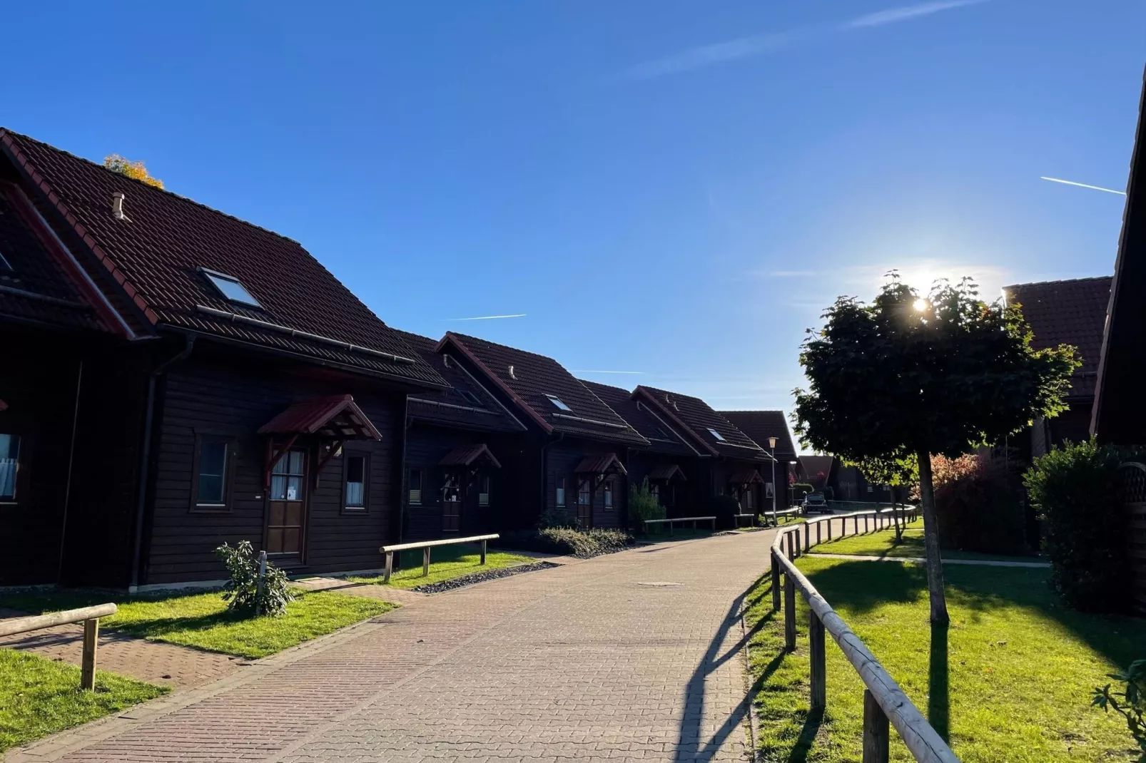 Ferienhaus in Hasselfelde - Haus 19 Blauvogel-Buitenkant zomer