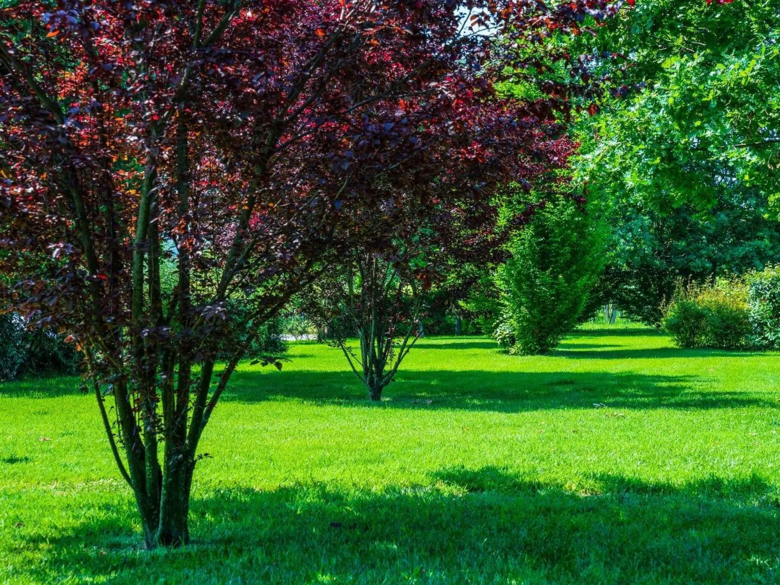 Wohnung "Erica" auf einem Bauernhof-Buiten