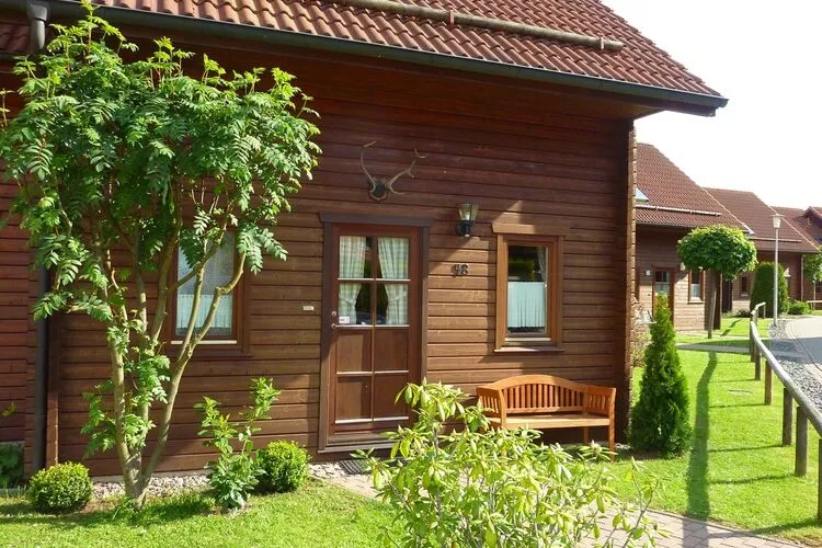 Ferienhaus in Hasselfelde - Haus 48 Blauvogel-Buitenkant zomer