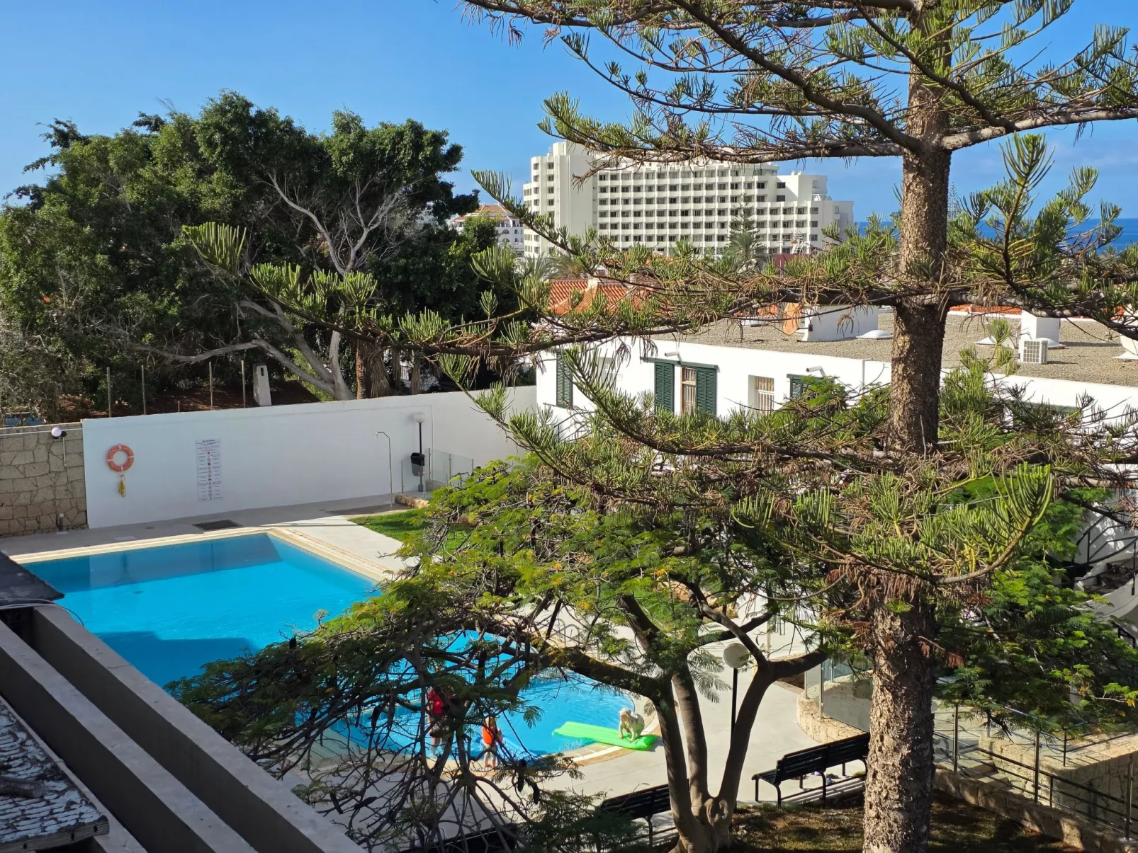Jacaranda am Meer-Buiten