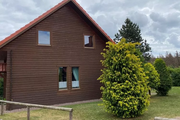 Ferienhaus in Hasselfelde - Haus 52 Blauvogel-Buitenkant zomer