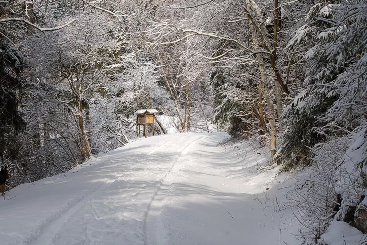 Ferienhaus in Hasselfelde - Haus 52 Blauvogel-Gebied winter 1km
