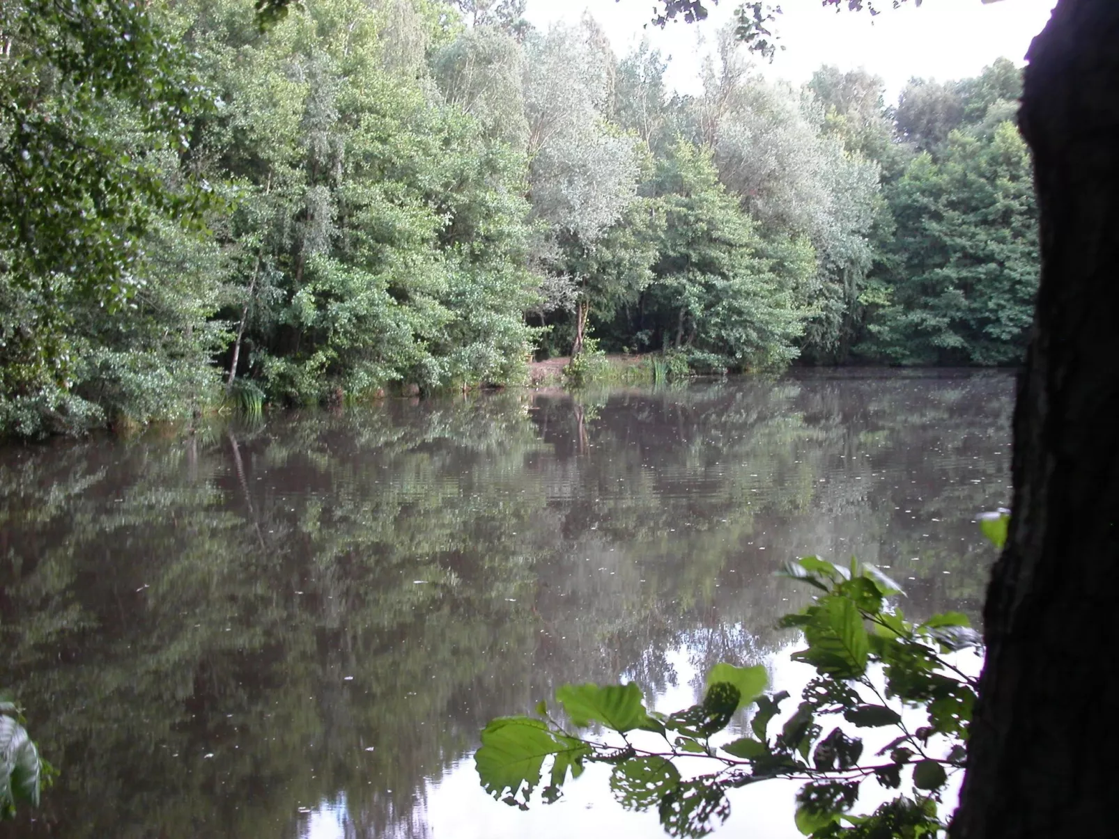 Itzinger-Image-tags.info