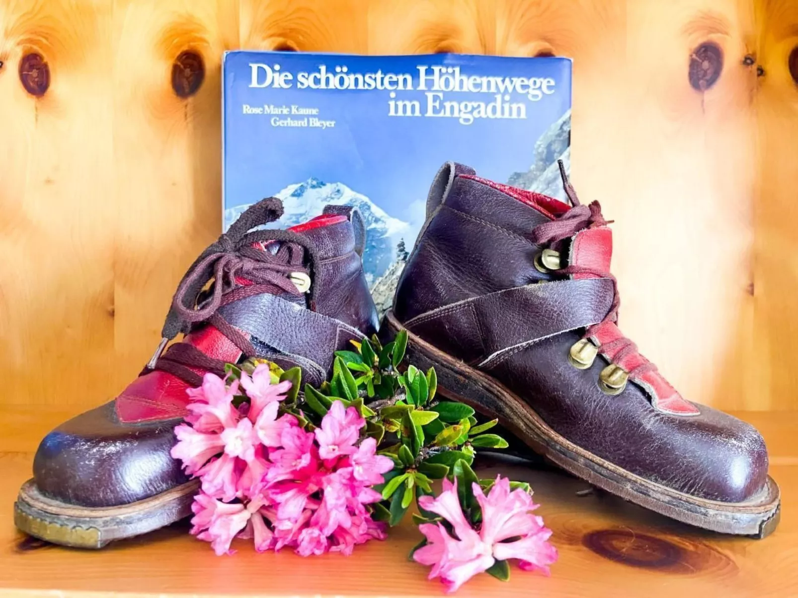 Curtins18-Image-tags.info