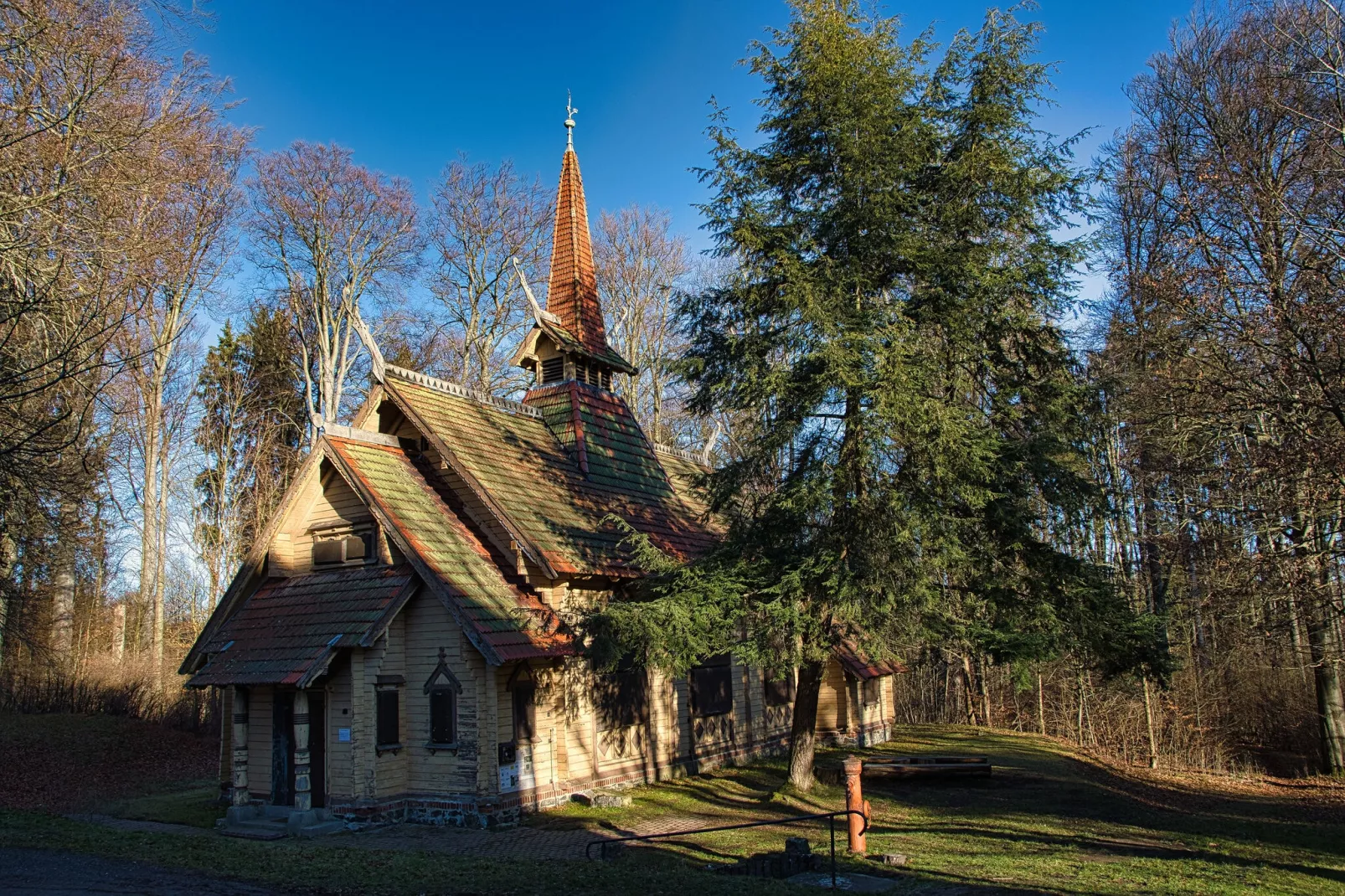 Ferienhaus in Hasselfelde - Haus 59 Blauvogel-Gebieden zomer 5km