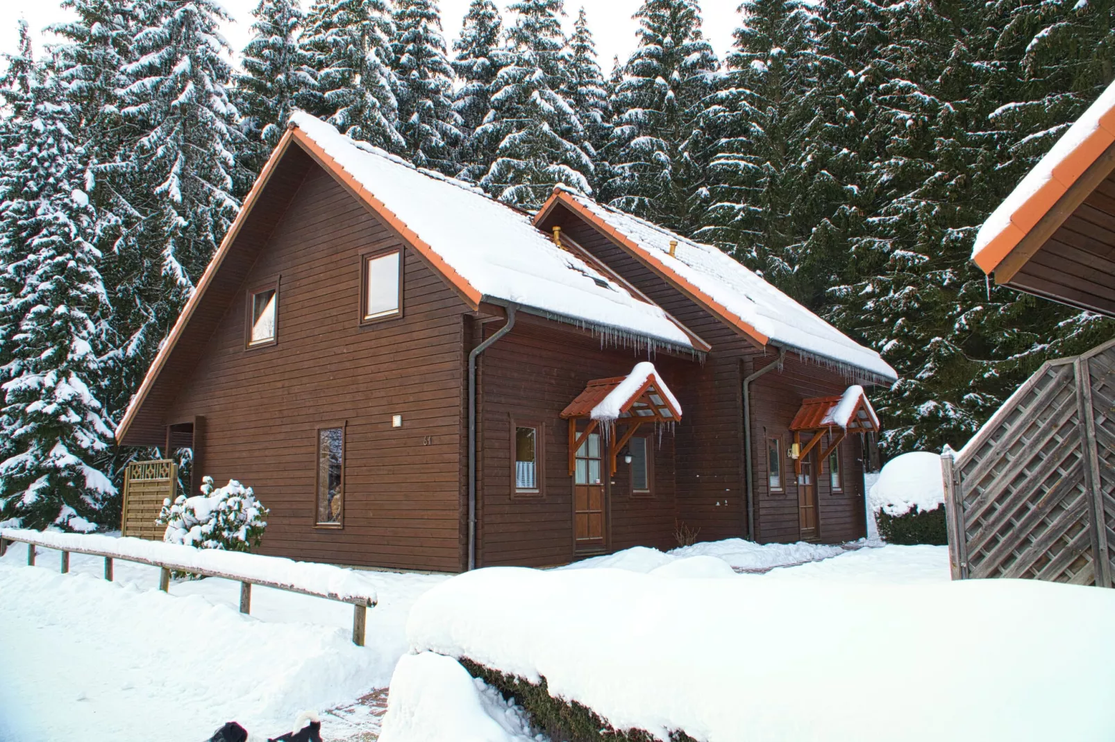 Ferienhaus in Hasselfelde - Haus 62 Blauvogel-Exterieur winter