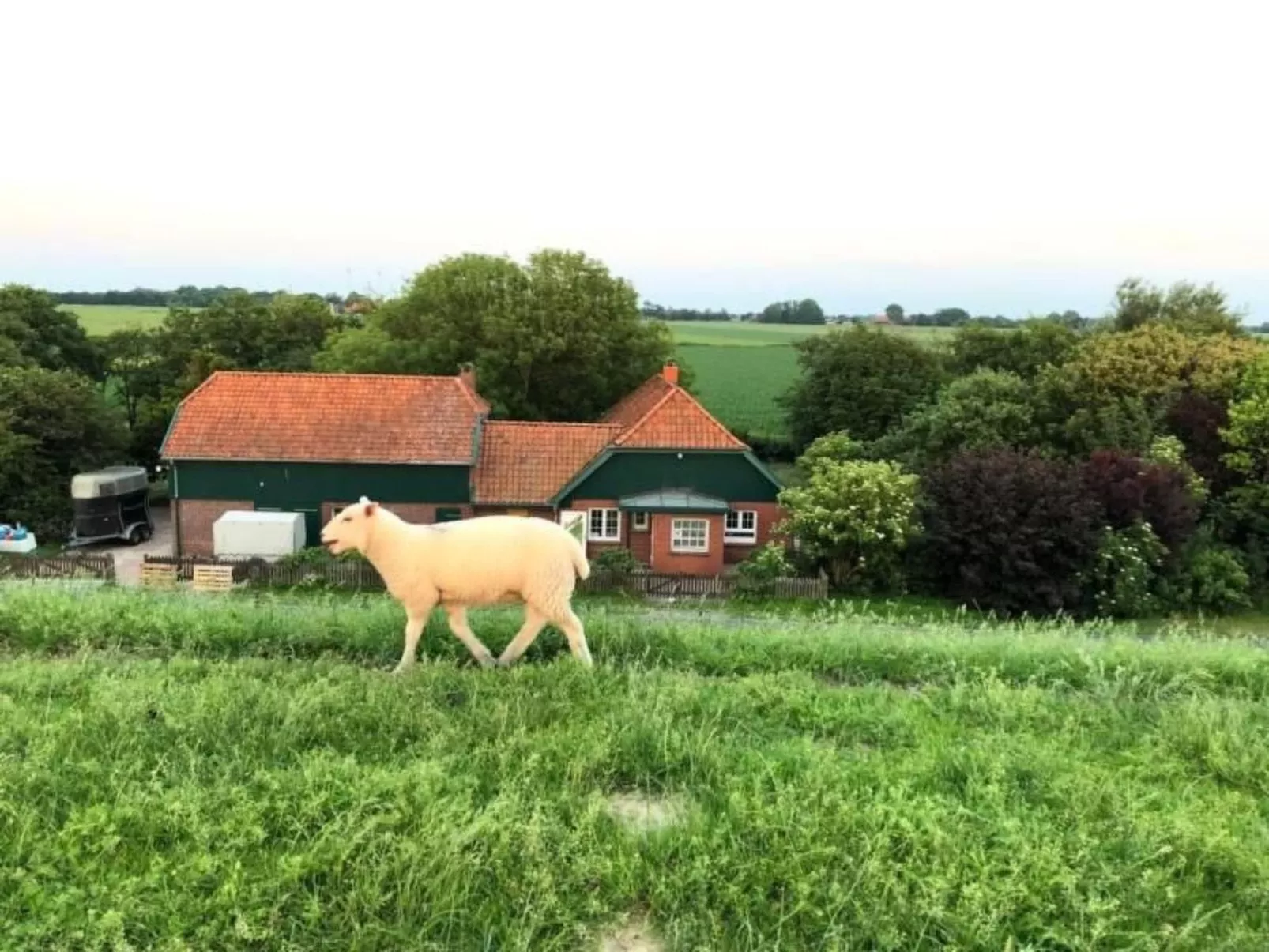 Deichhof Tossens-Buiten