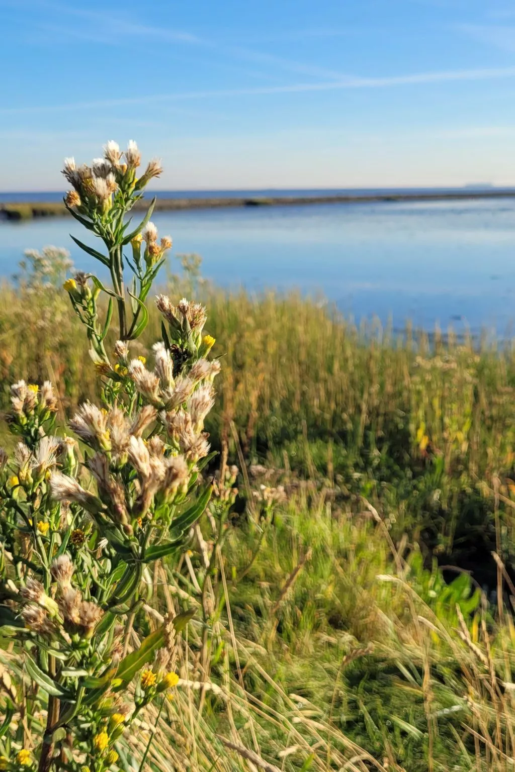 In der Nähe  vom Deich und Strand-Buiten