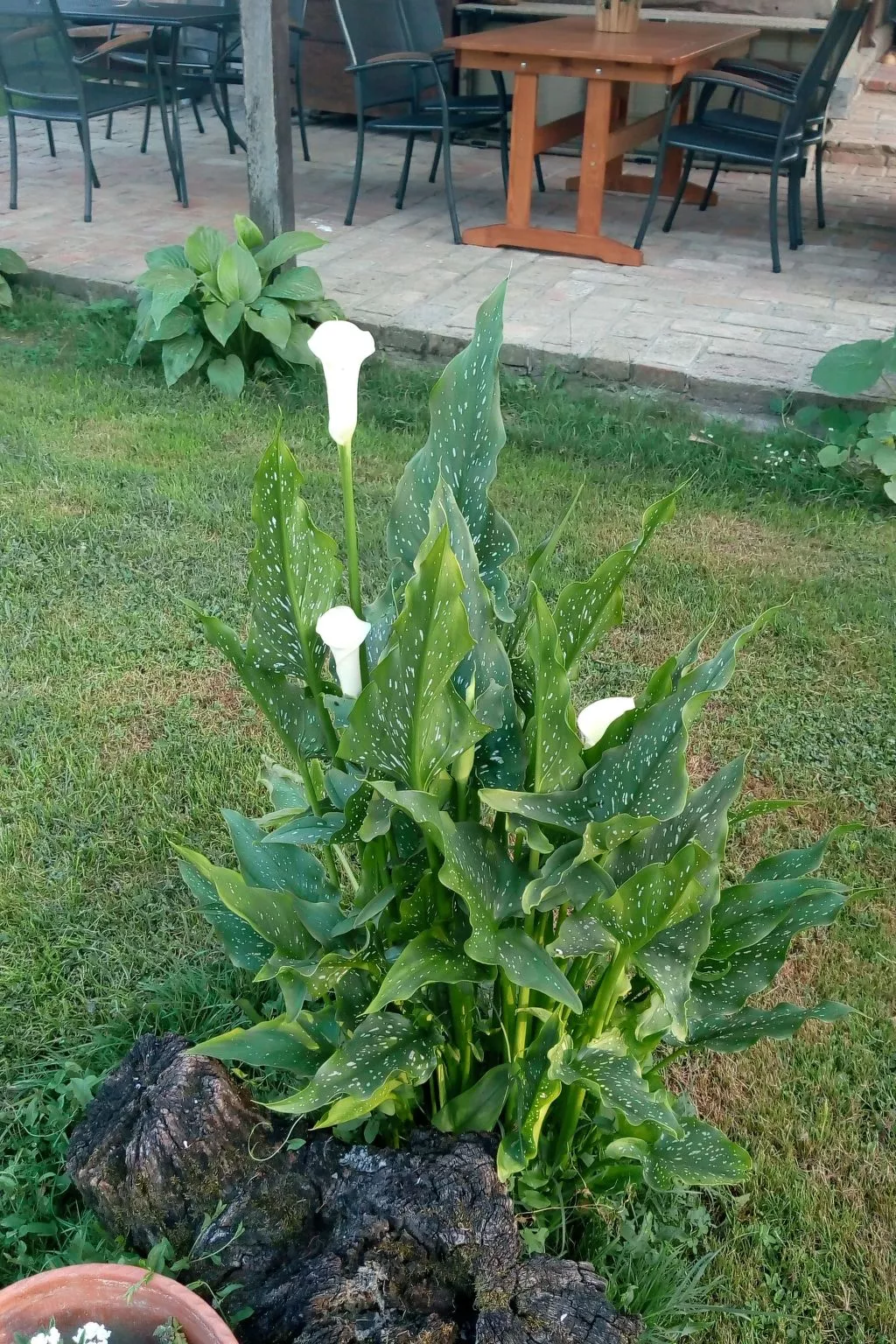 Ländlicher Tourismus-Buiten