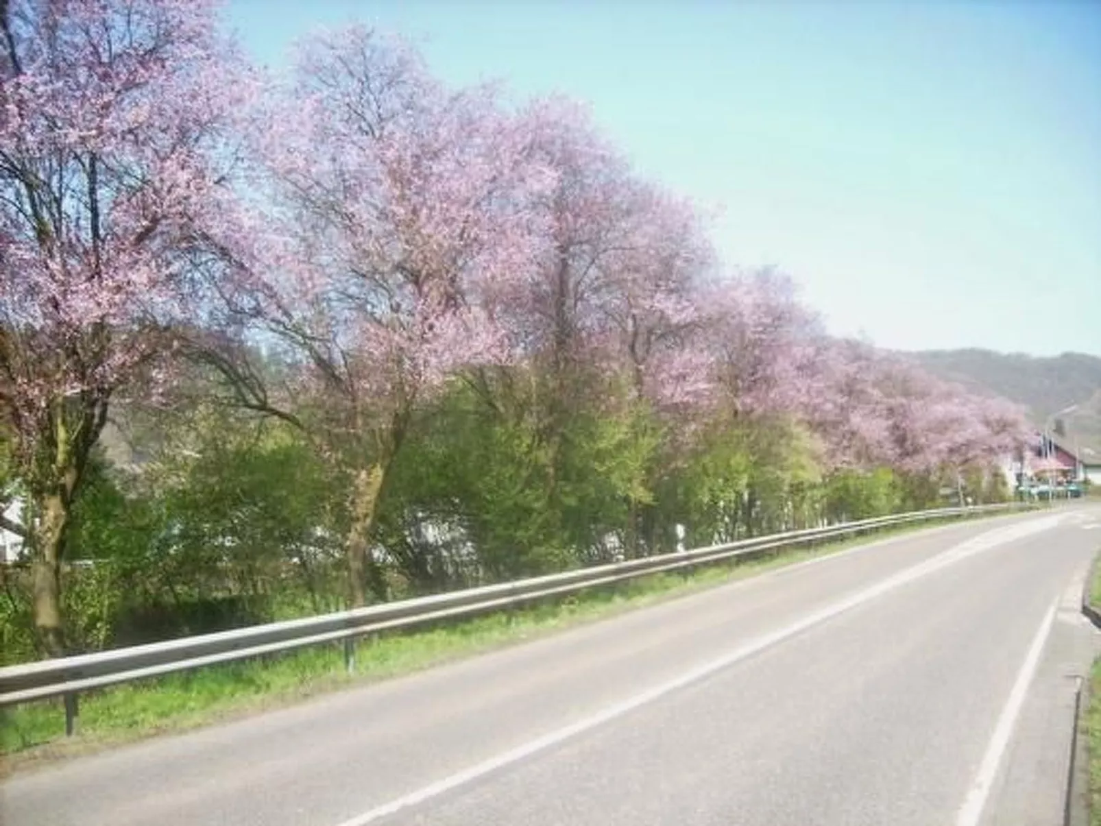 In Waldbreitbach mit Whirlpool - Image-tags.info