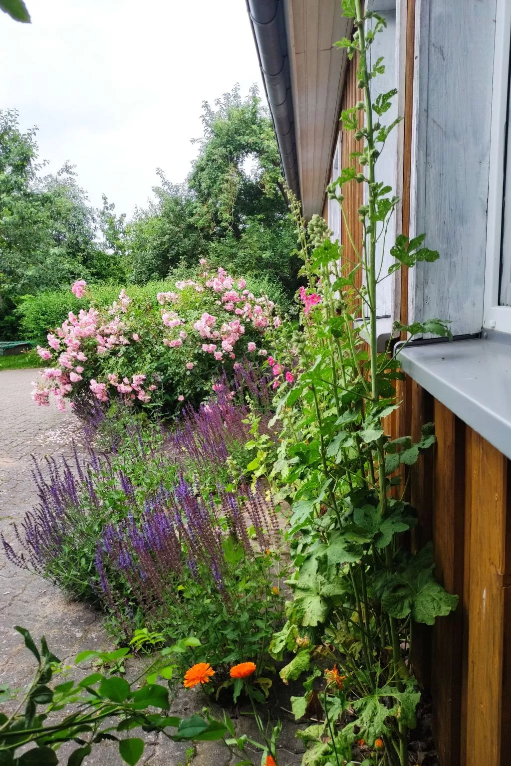 Janet Ratschkowski-Buiten