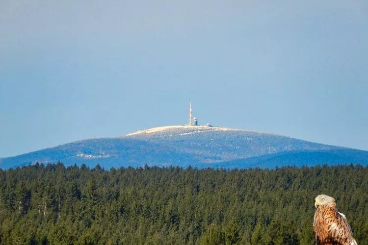 Ferienhaus in Hasselfelde - Haus 403 Auerhahn-Gebieden zomer 20km