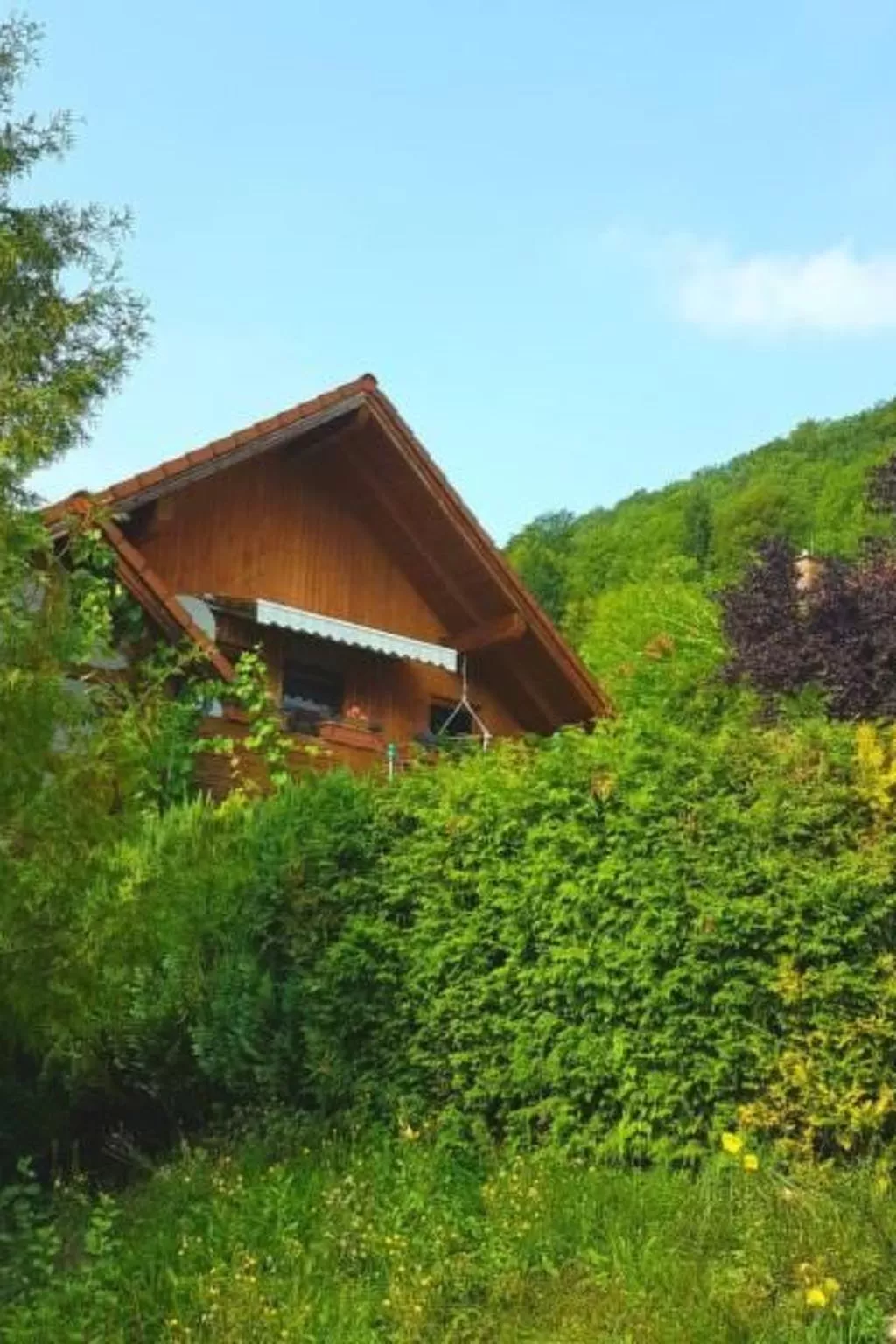 Ferienwohng. Susanne-Buiten