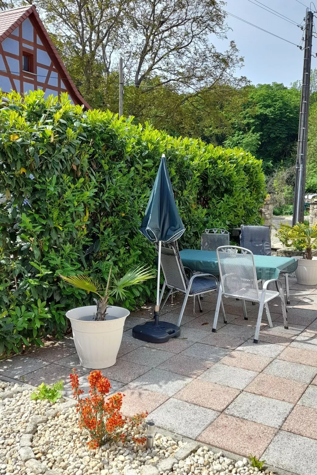 Schäfer-Image-tags.info