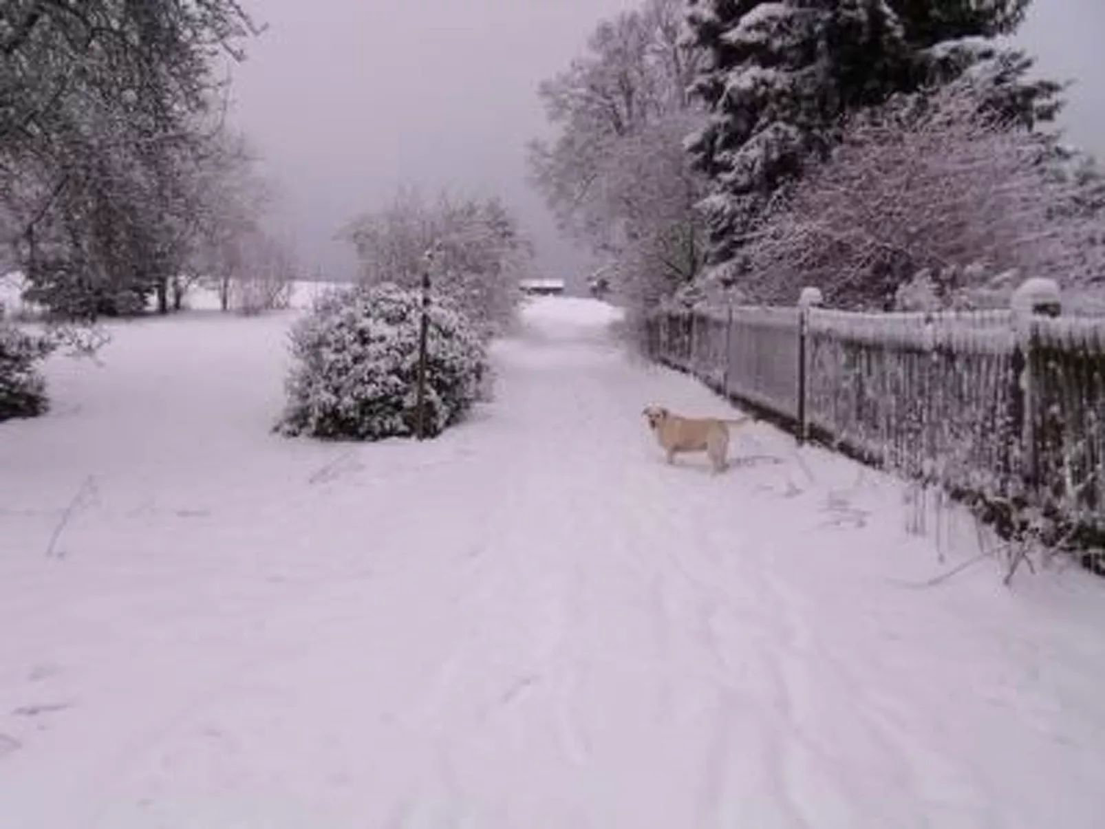 Mietz-Image-tags.info