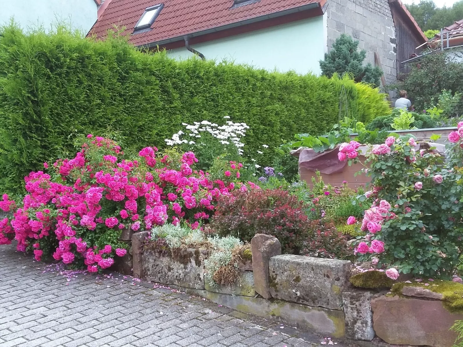 Gemütliches Ferienhaus in Fischbach Rhön-Buiten