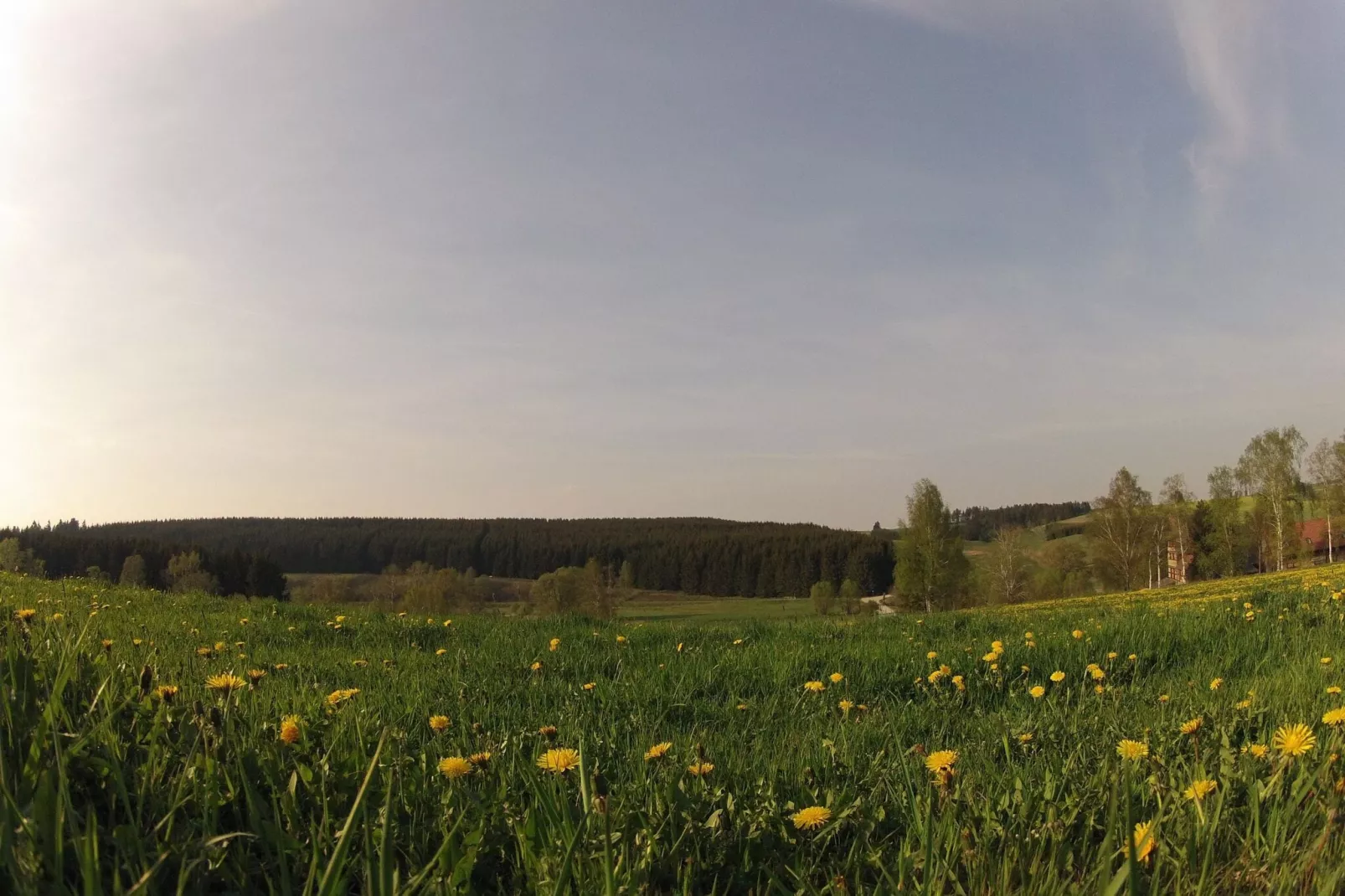 Ferienhaus in Hasselfelde - Haus 510 Auerhahn-Gebieden zomer 5km