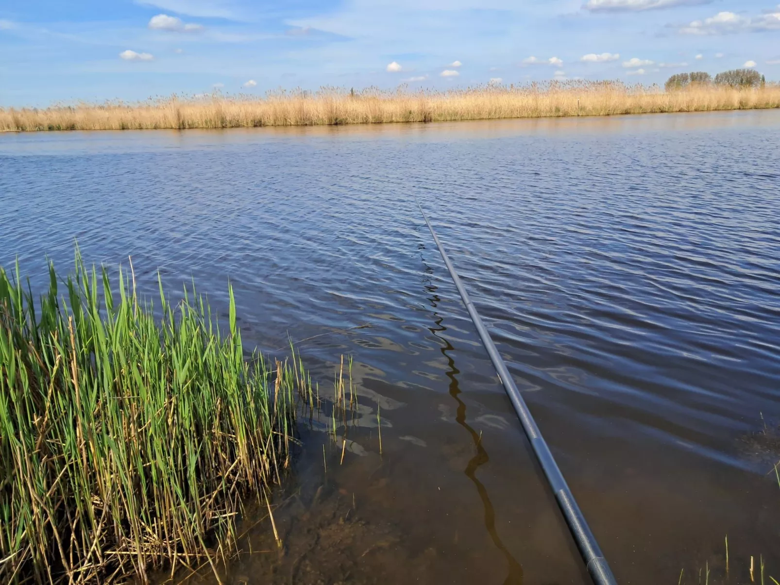 Ferienchalet an der Grenze zwischen Brabant und Zeeland-Buiten