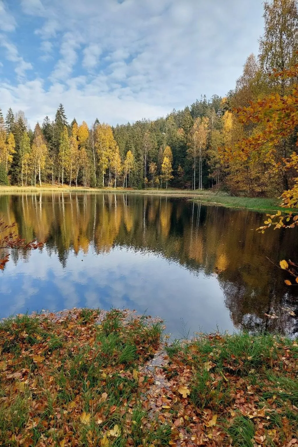 In natürlicher Umgebung-Image-tags.info