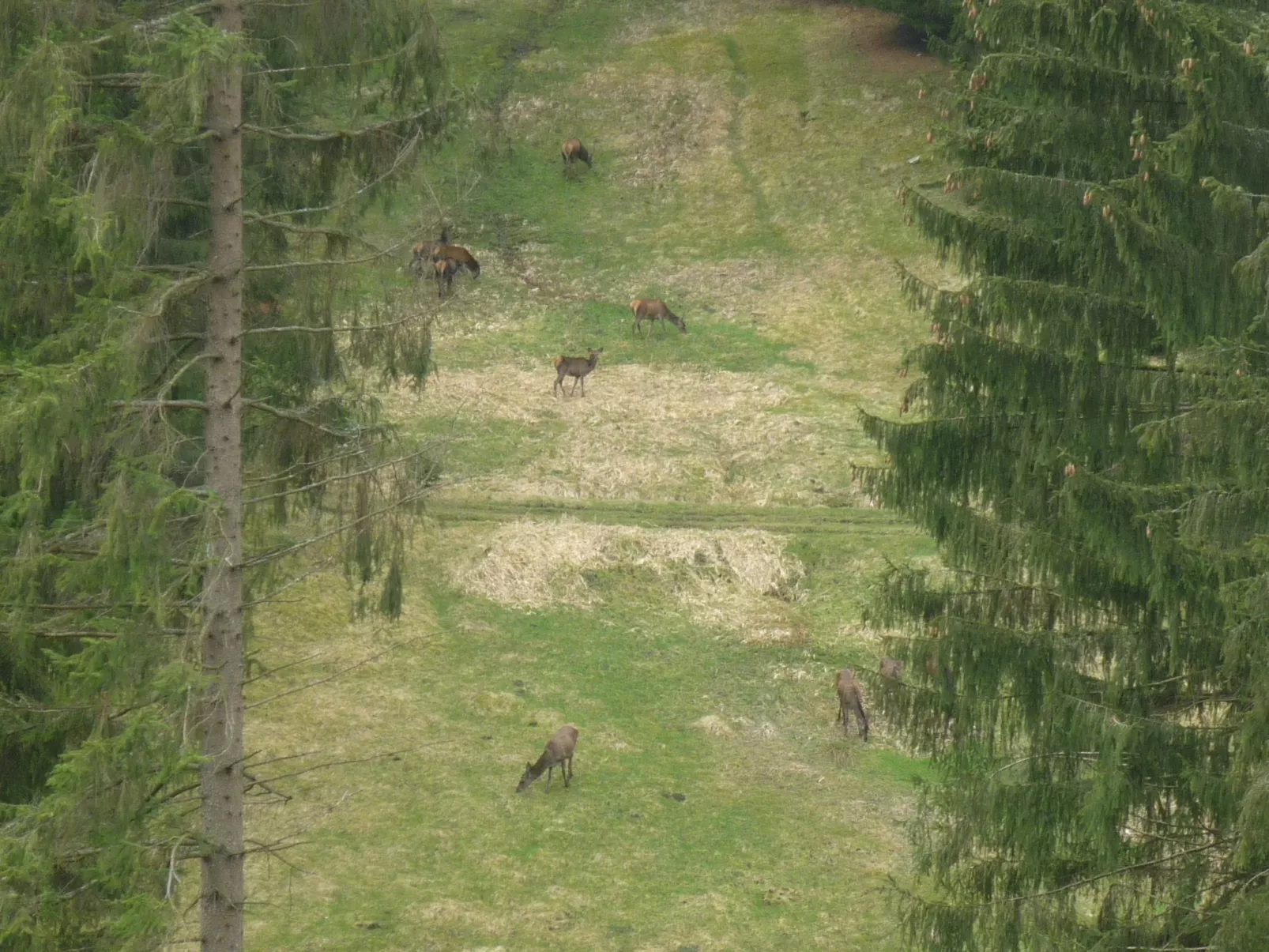 Für 9 Personen im Thüringer Wald-Buiten