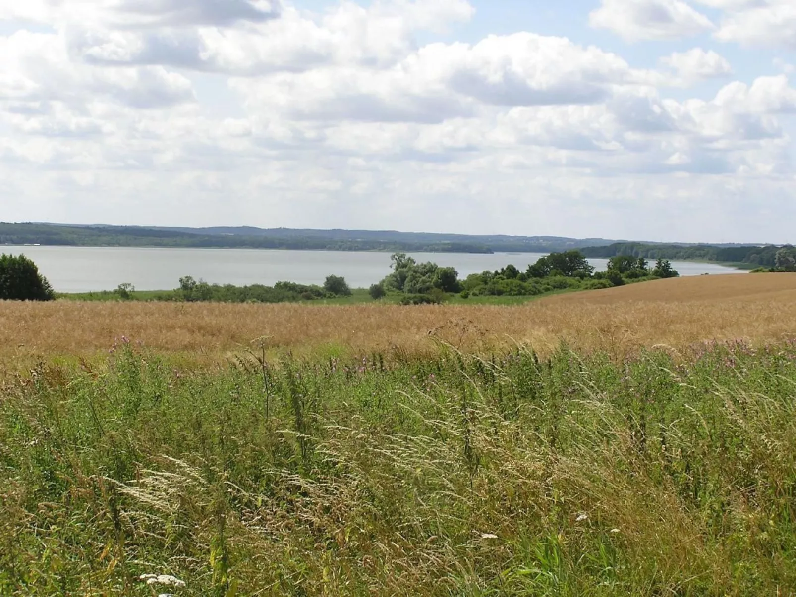 In Dahmen mit Großem Garten-Buiten