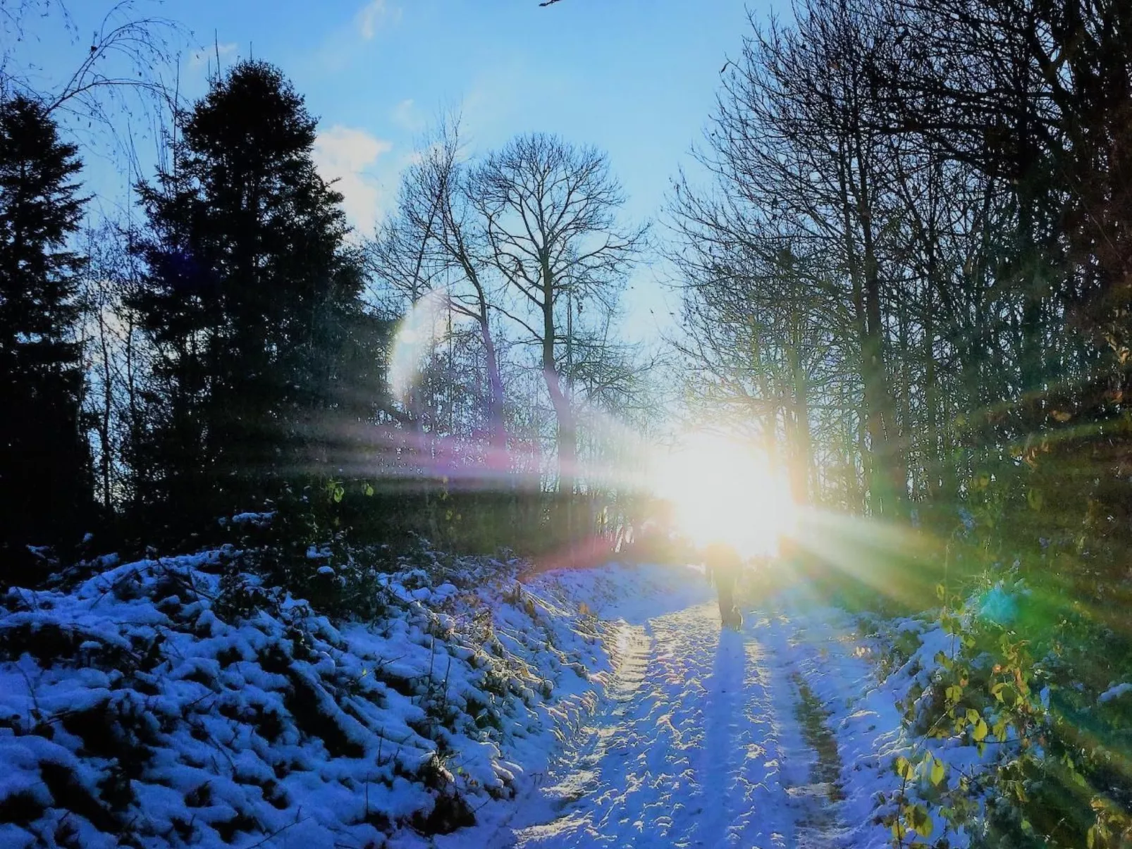 Traumwohnung-Image-tags.info