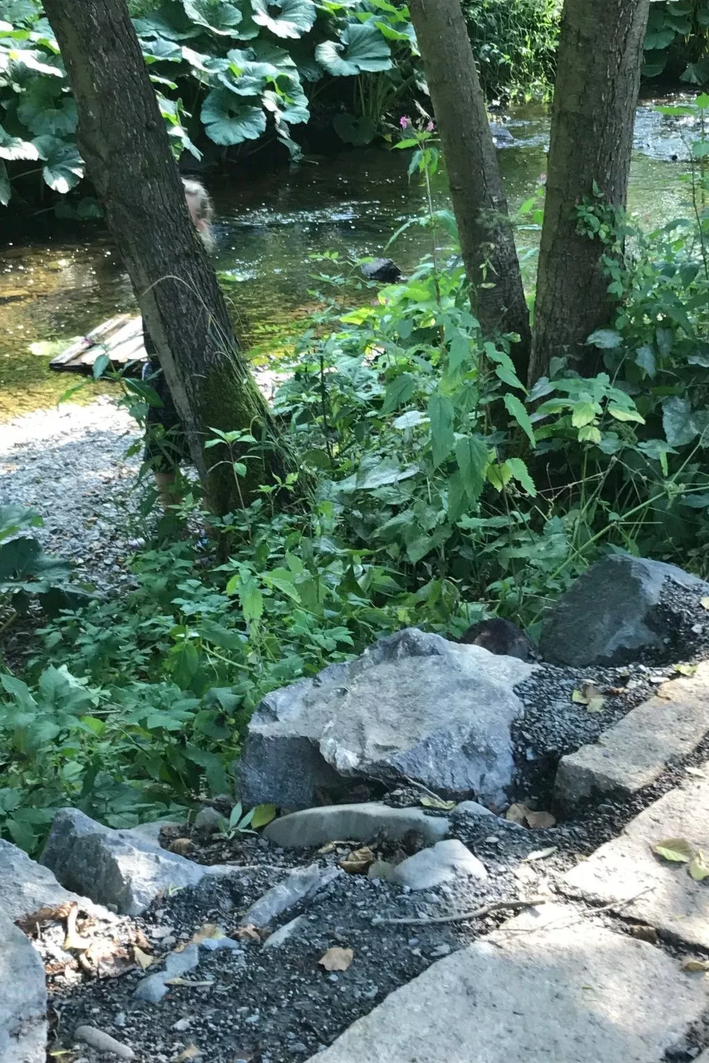 Fewo 3-An der Rodach-Buiten