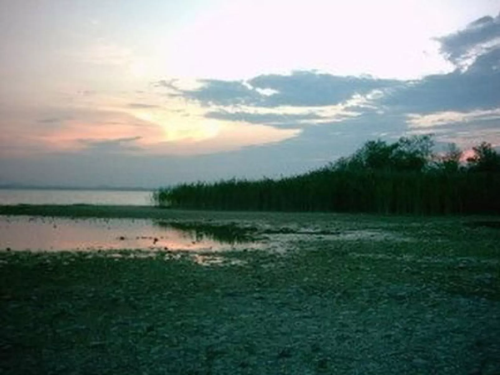 Forsthaus Chiemsee-Buiten