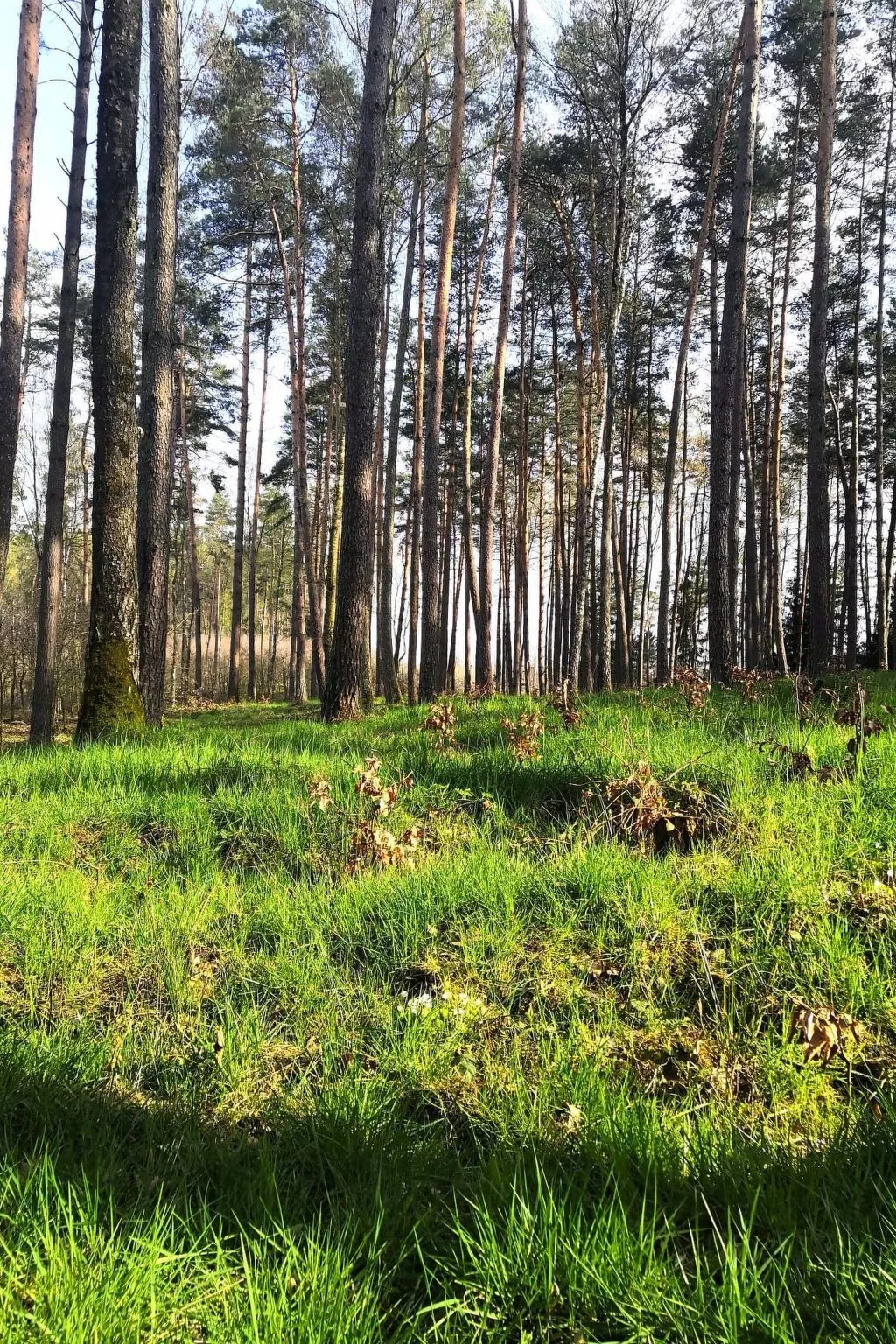 "Ferienhaus GolczaVita"-Image-tags.info