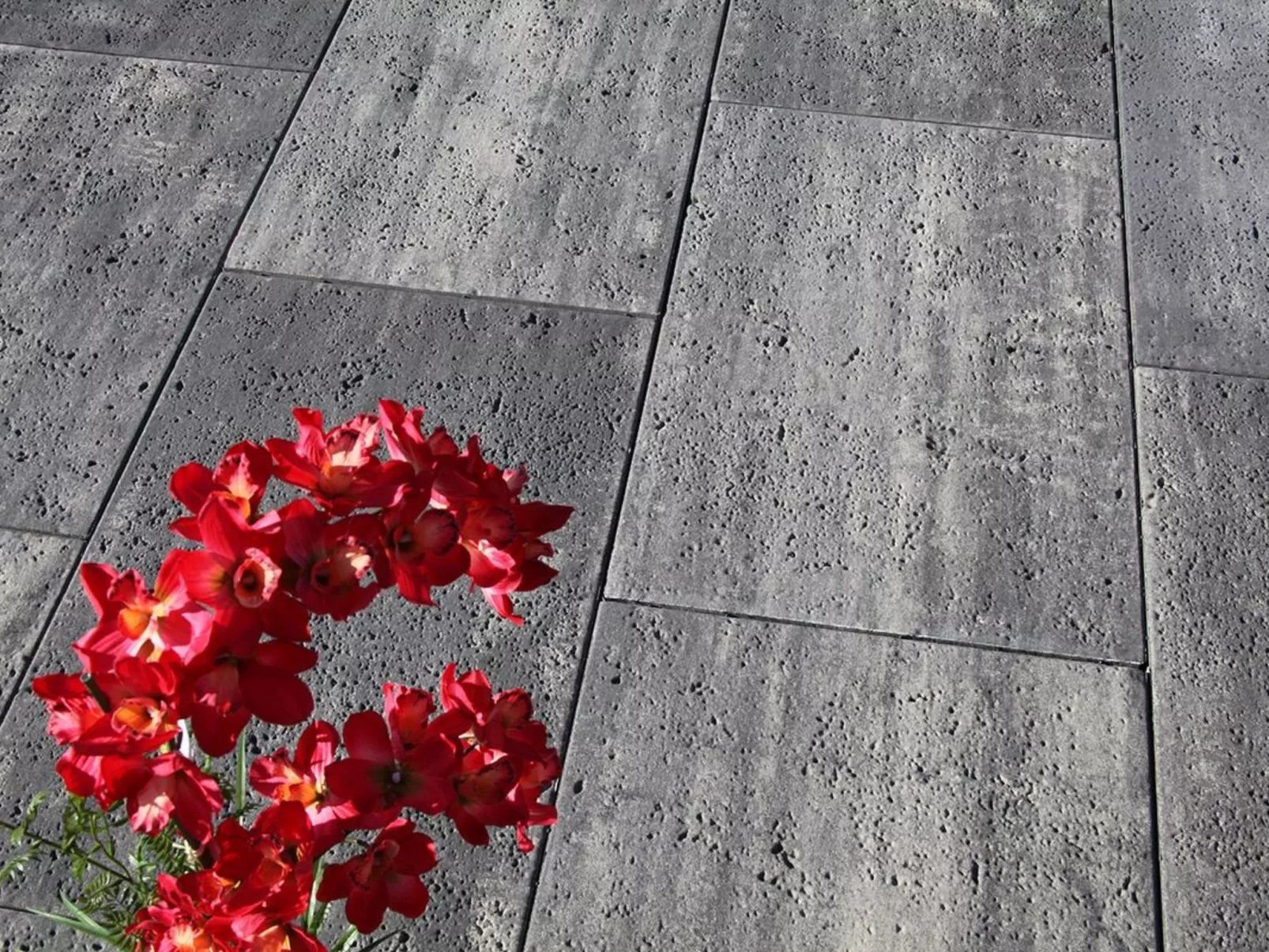 Landhaus mit Schwimmbad-Buiten