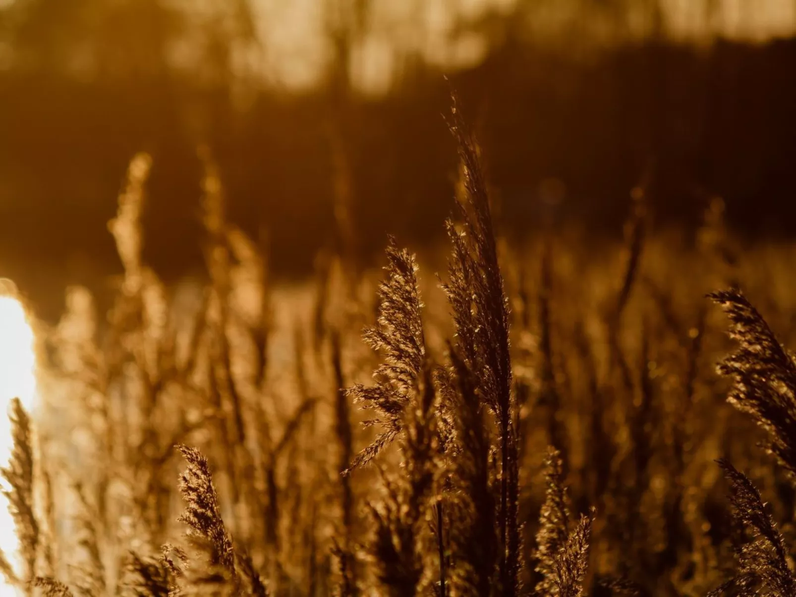 Residenz KrakowerSee-Buiten
