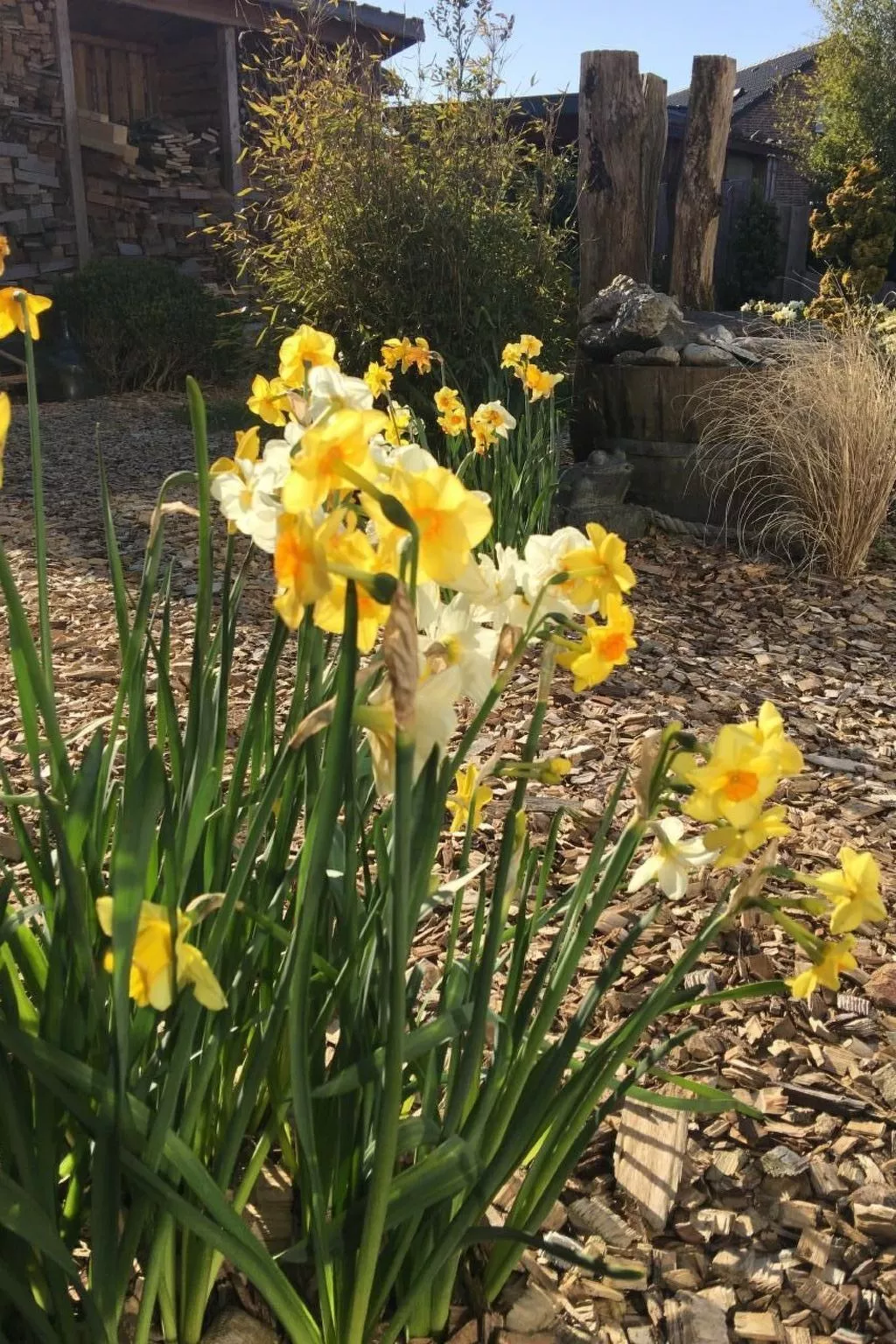 Ruhige Wohnung in Risum mit Garten und Terrasse-Buiten