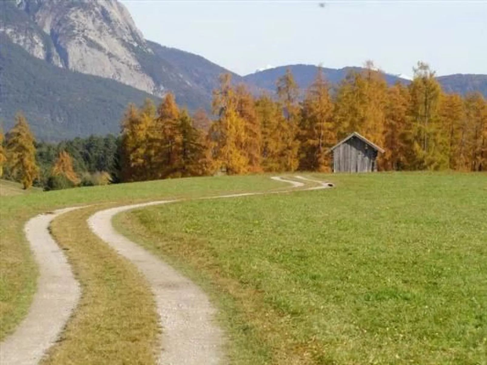 In Wildermieming-Image-tags.info