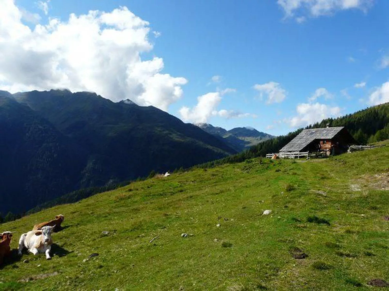 Almhütte Enzian-Image-tags.info