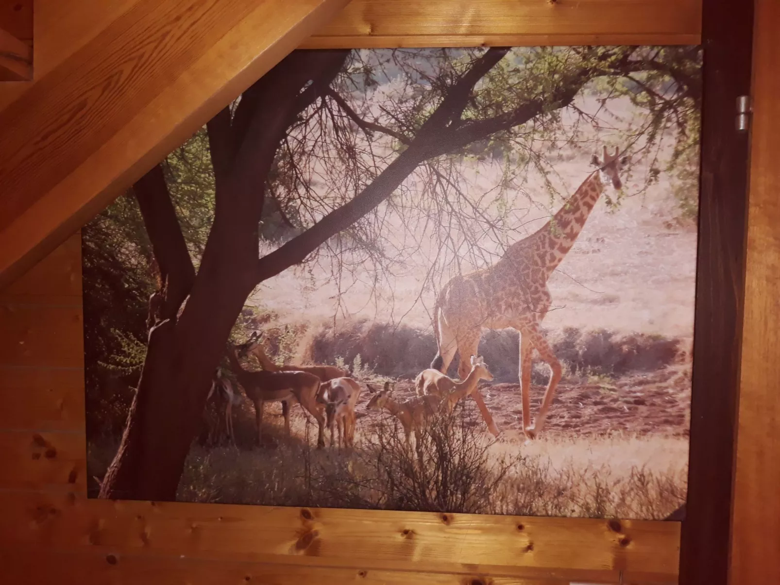 In Kuhklingen mit Großer Terrasse-Binnen