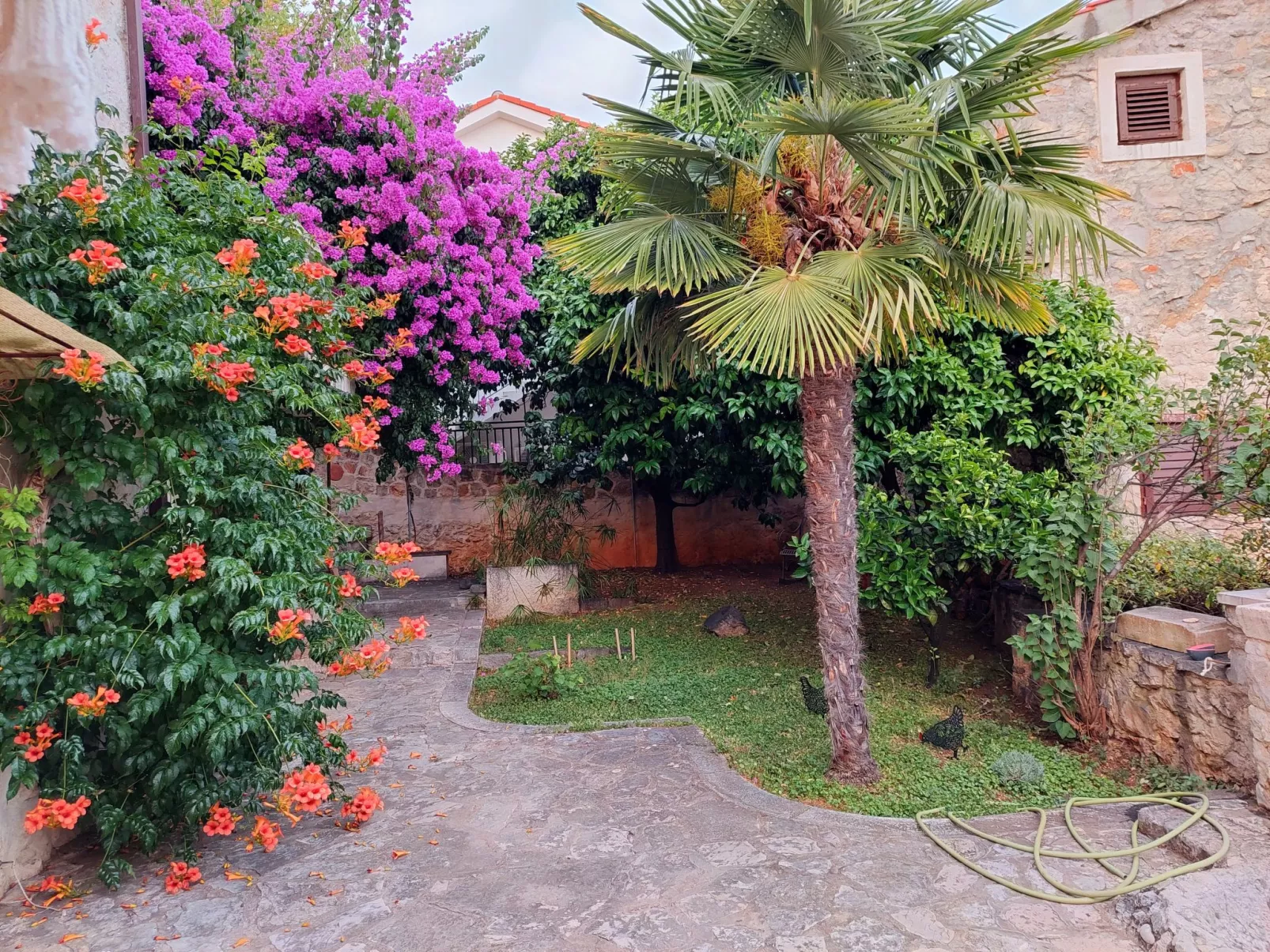Wohnung in Zavala mit schönem Garten-Buiten