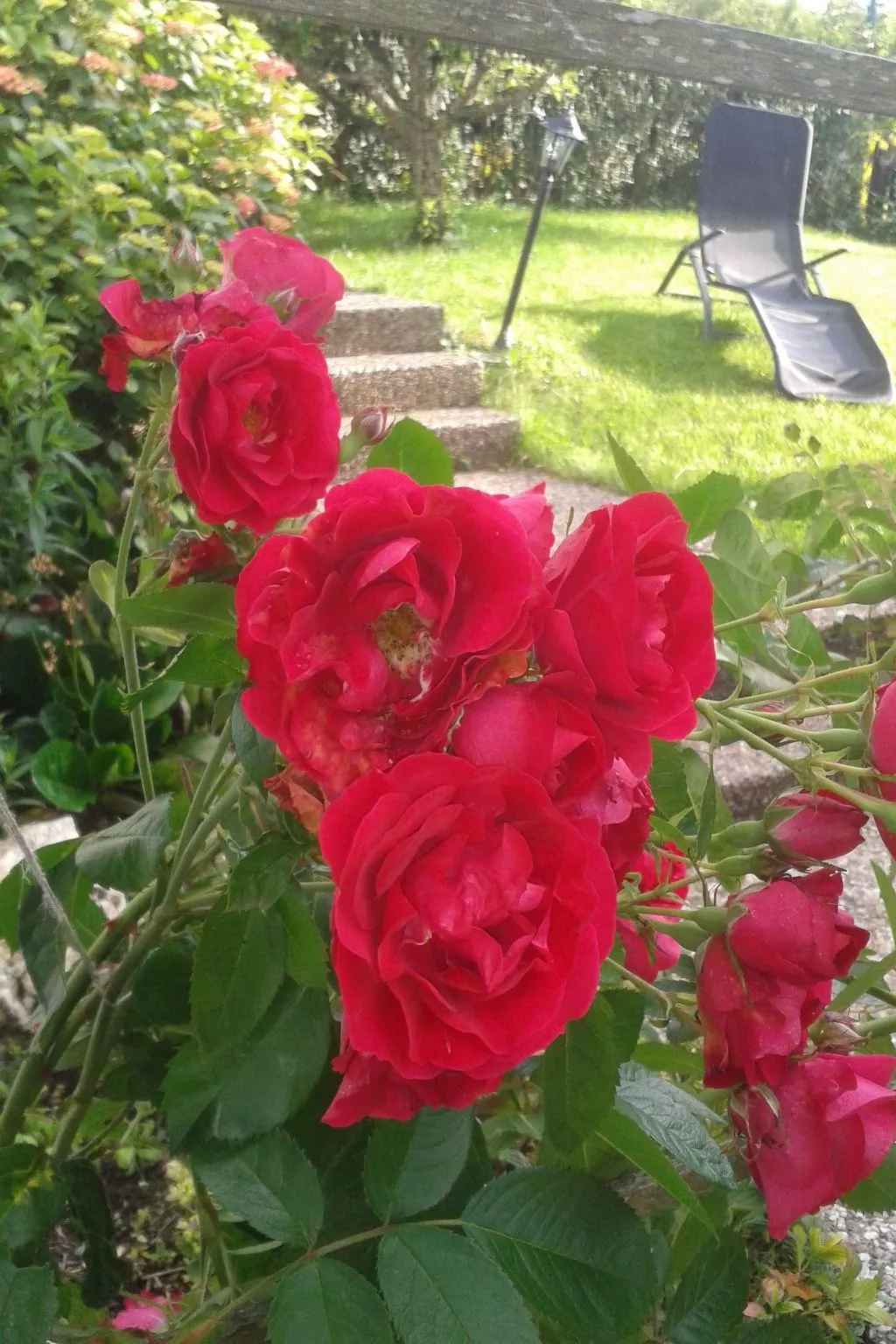 Haus Starkenburg-Image-tags.info