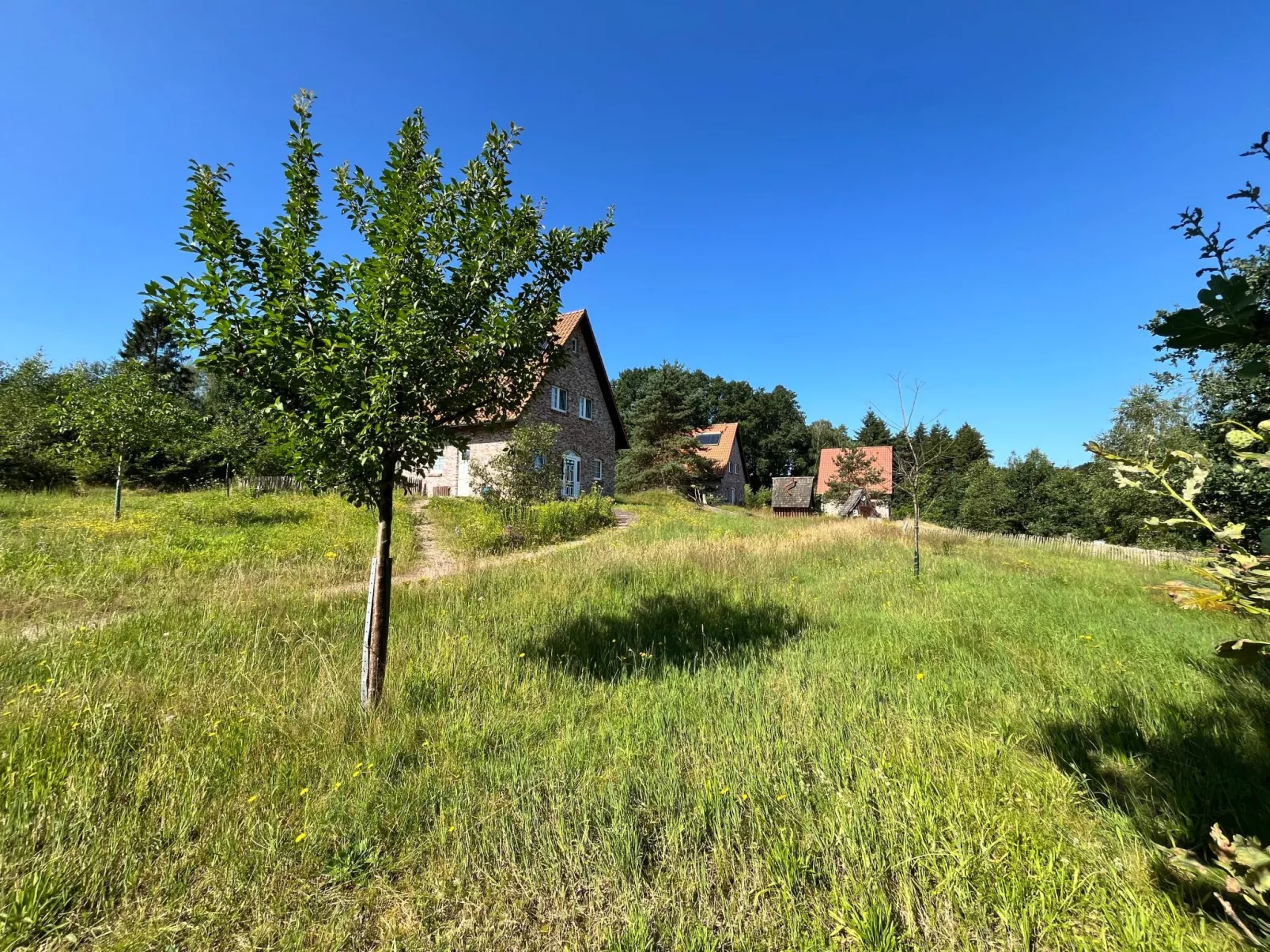 Haus Weißdorn im Bispinger Heidezauber-Buiten