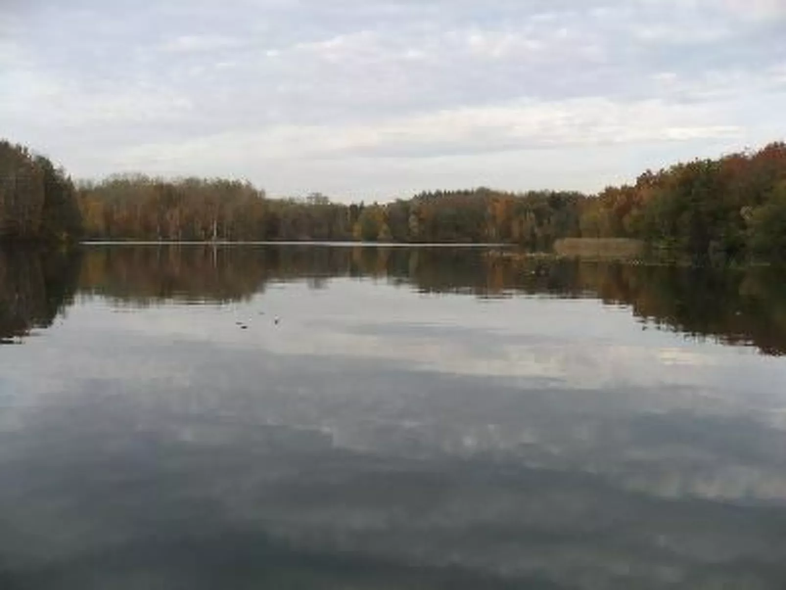 Haus-Zauberblau-Buiten