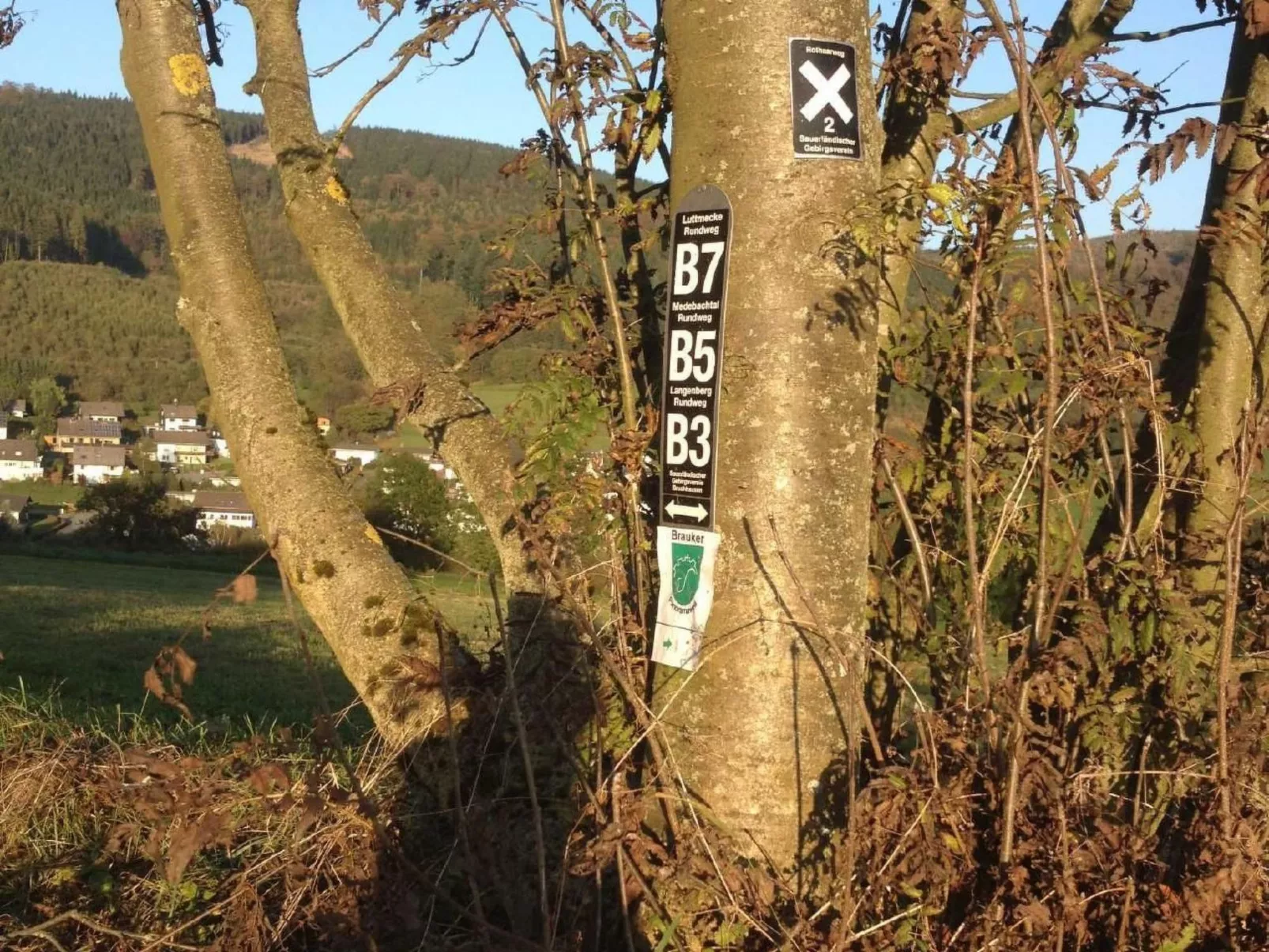 Haus Schnurbus - Buiten